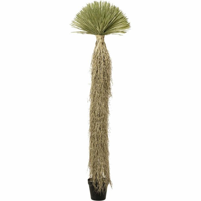 Produse - Plantă Decorativă Yucca Rostrata 75x75x240 cm, Materiale Artificiale Negru - Kare Design