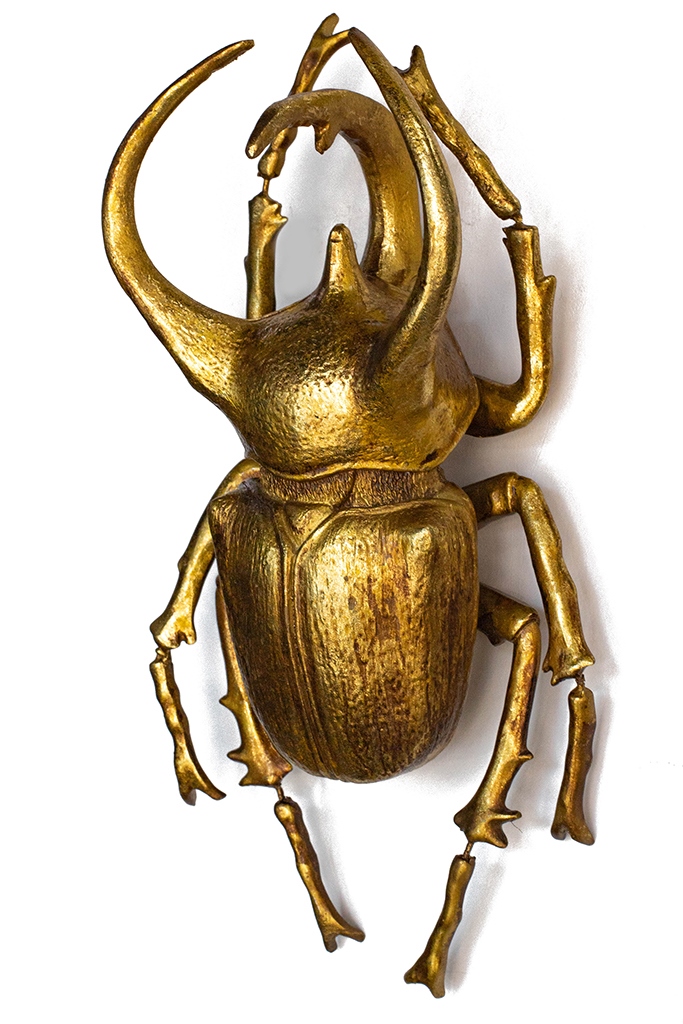 Produse - Decorațiune de Perete Atlas Beetle 26x15x33,5 cm, Rășină Polimerică Auriu - Kare Design