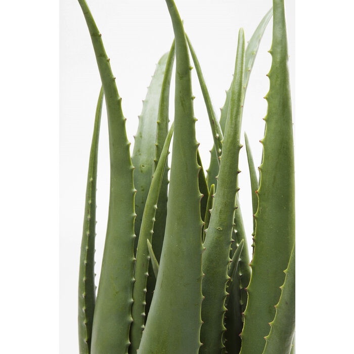 Plantă Decorativă Aloe 20x20x69 cm, Eva - Kare Design [2]