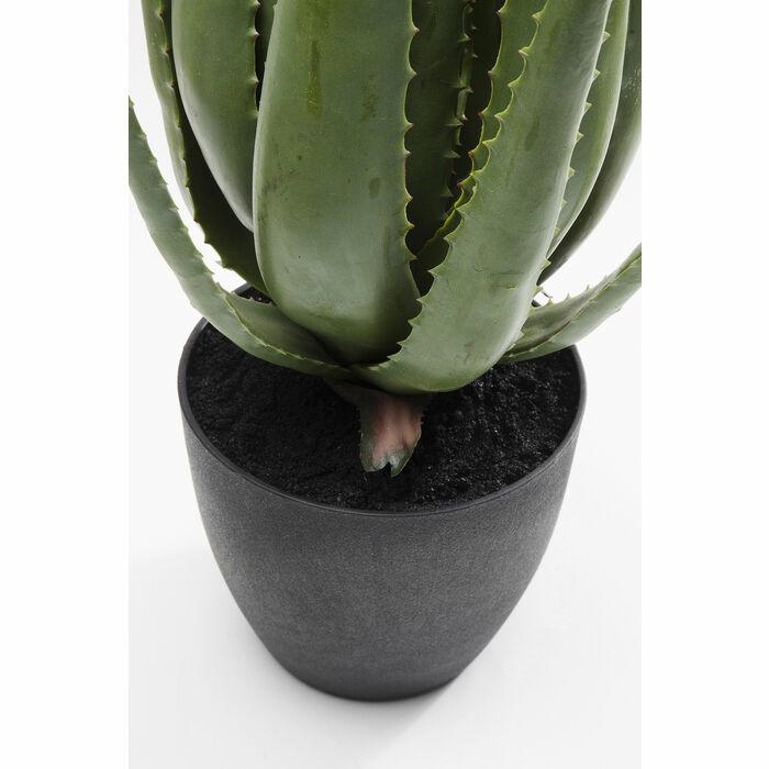 Plantă Decorativă Aloe 20x20x69 cm, Eva - Kare Design [3]