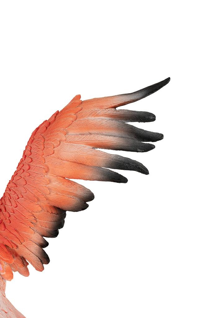 Decorațiune de Podea Flamingo Road Fly 49,5x28x66 cm, Colorată - Kare Design [9]