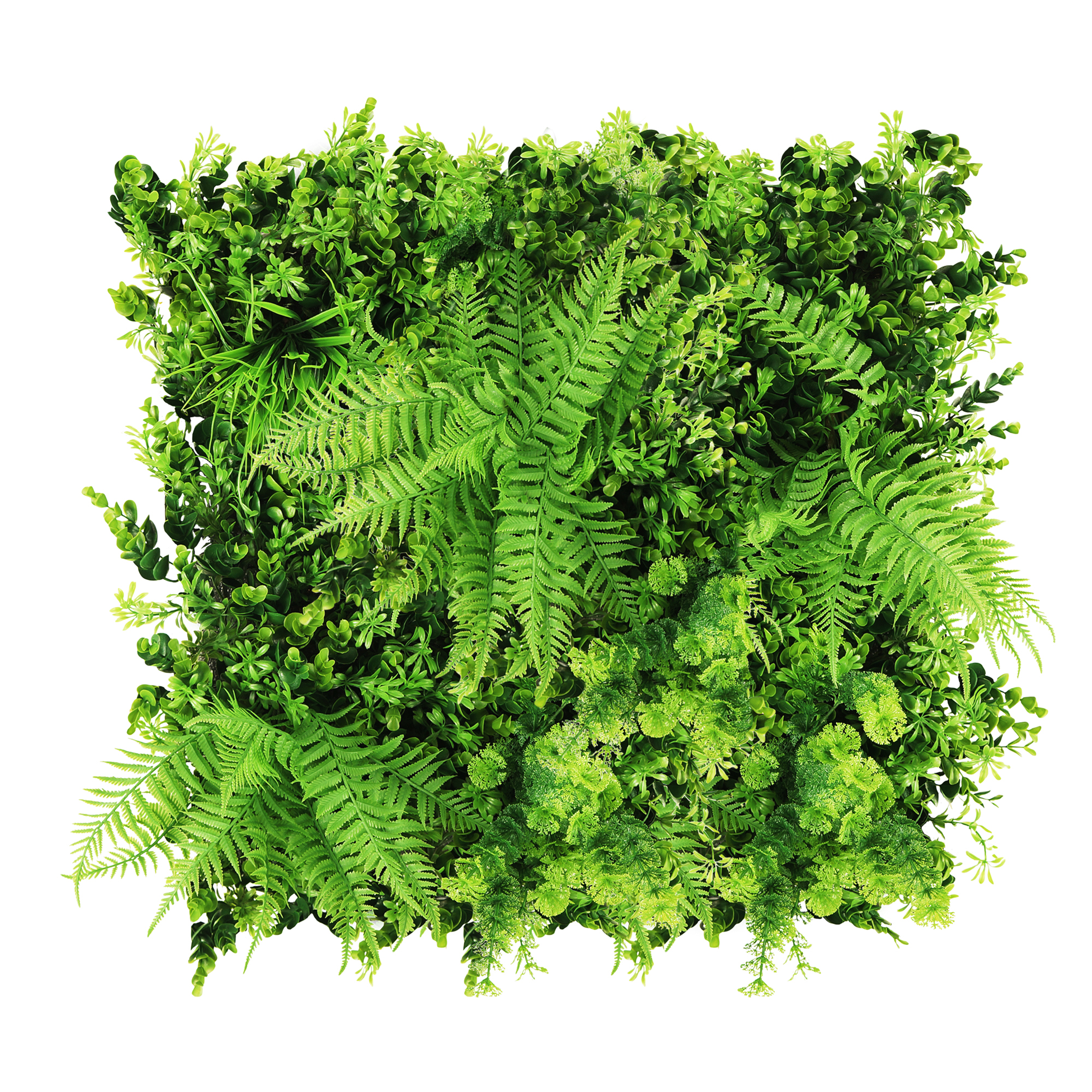 Panouri pe covoras Premium - Green Wall Orlica 50x50cm