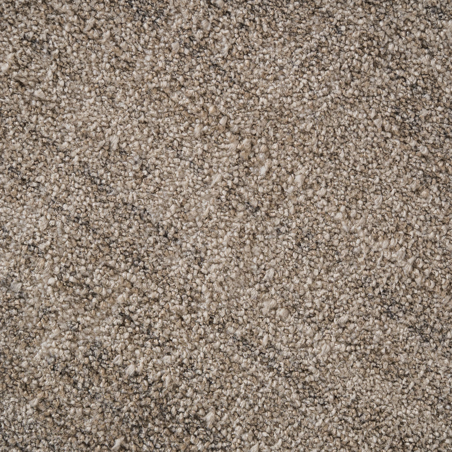 Covor BLASSE VicalHome 36375 [2]