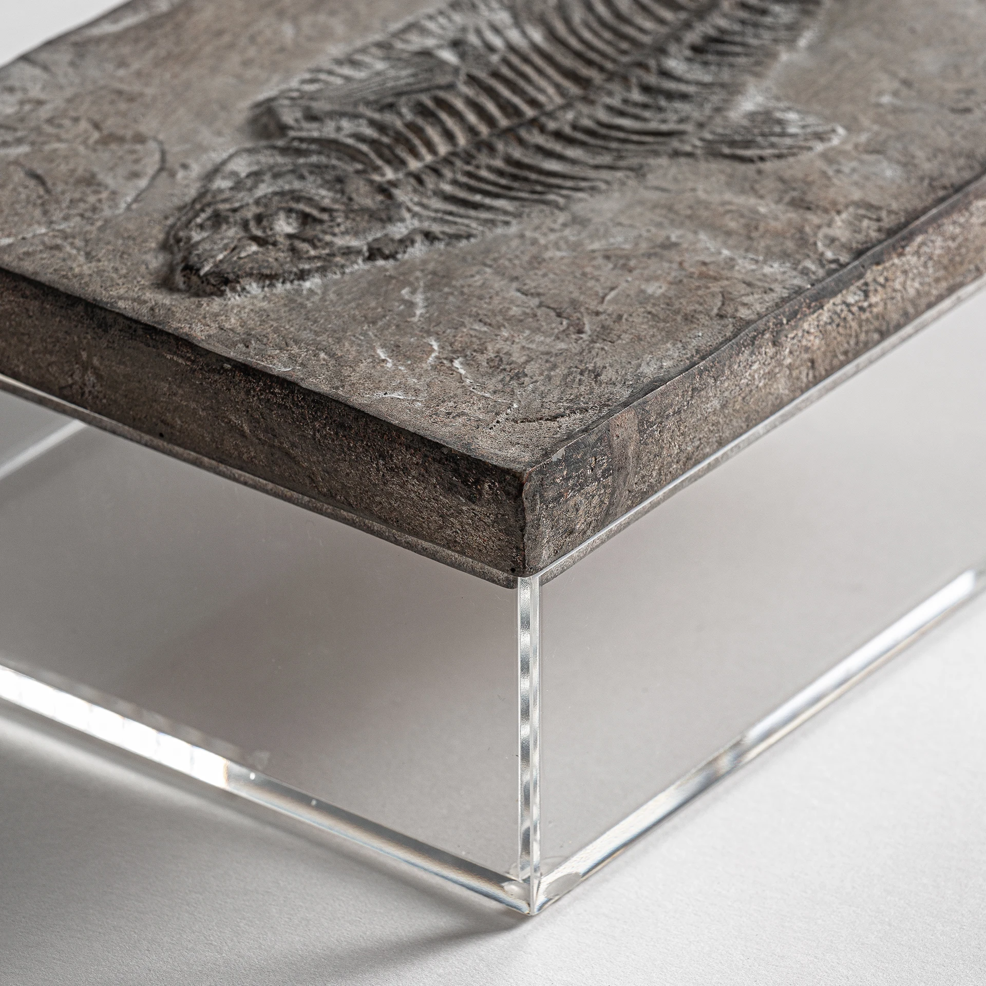 CUTIE VicalHome 23236 [15]