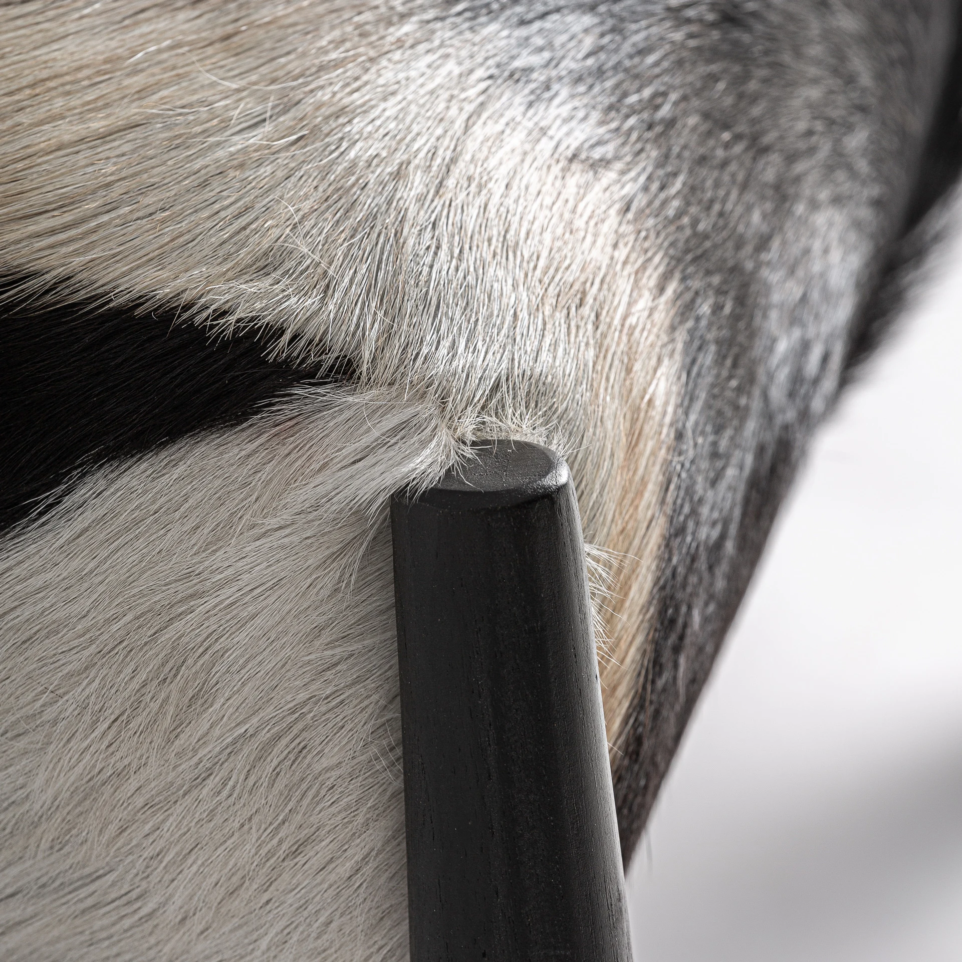 FOTOLIU KASHER VicalHome 37747 [5]