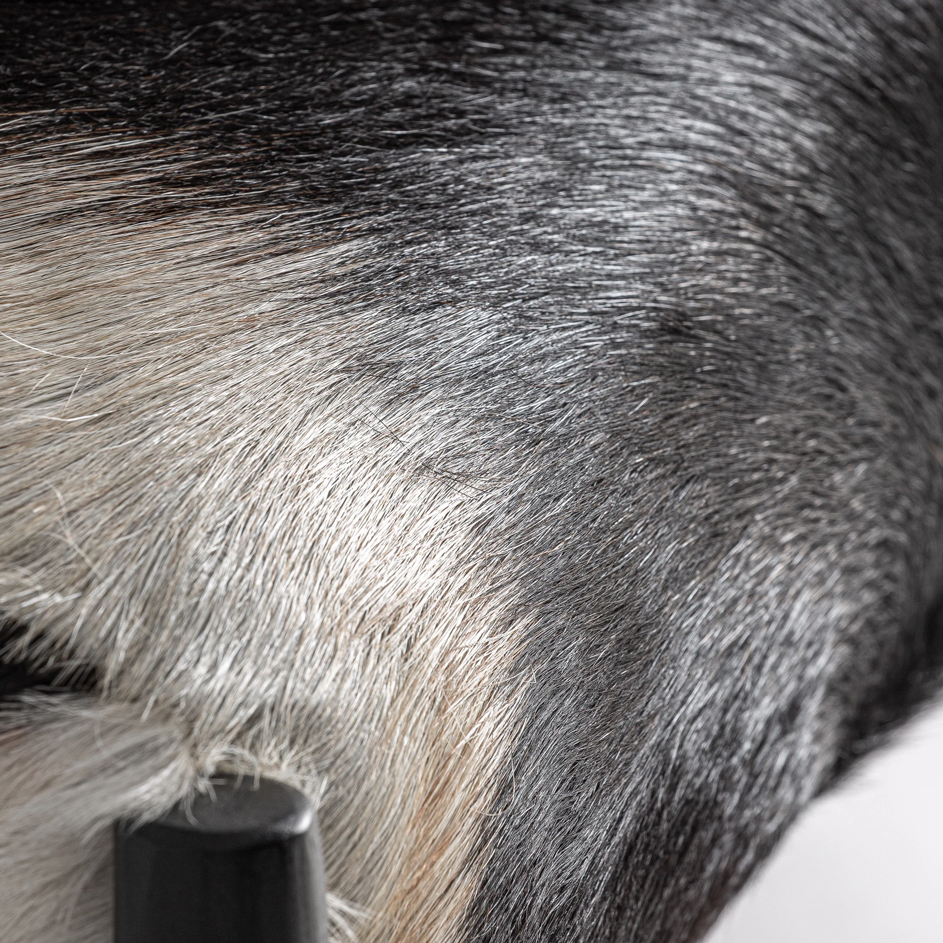 FOTOLIU KASHER VicalHome 37747 [7]