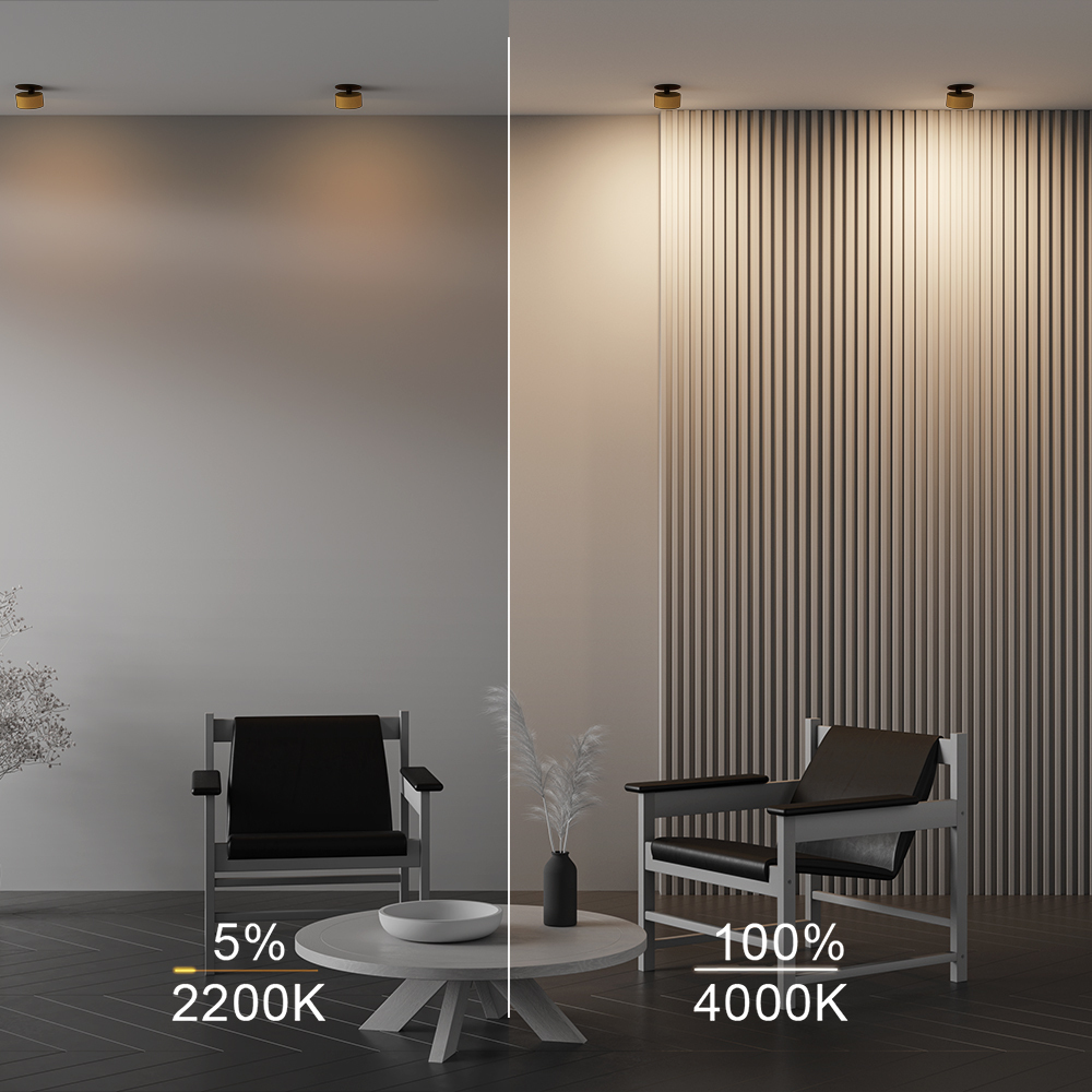 Corp de iluminat încastrat ONDA, Aluminiu Negru, 12W, MAYTONI DL024-12W-DTW-BMG [3]