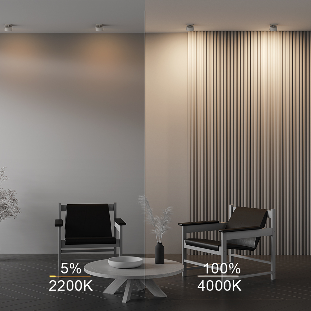 Corp de iluminat încastrat ONDA, Aluminiu Alb, 12W, MAYTONI DL024-12W-DTW-W [3]