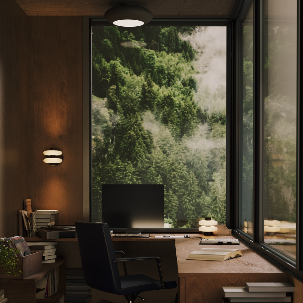 Plafonieră Aros Gri Aluminiu 12W MAYTONI MOD507CL-L12GRK [4]