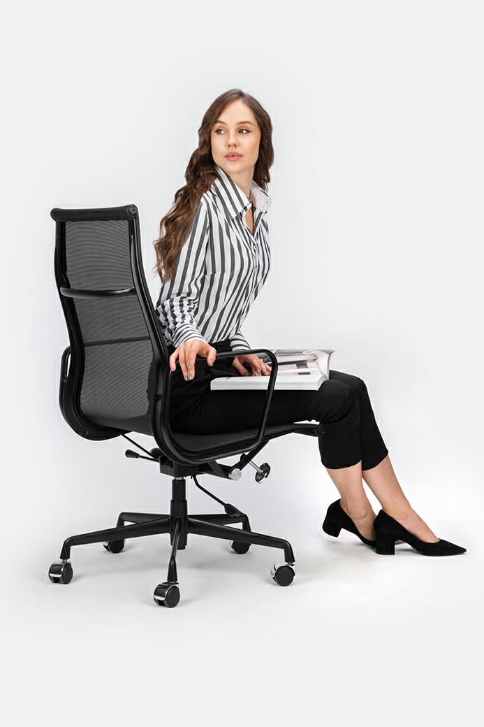 Scaun de Birou Aeron Premium, Aluminiu Negru Satinat - King Home [18]
