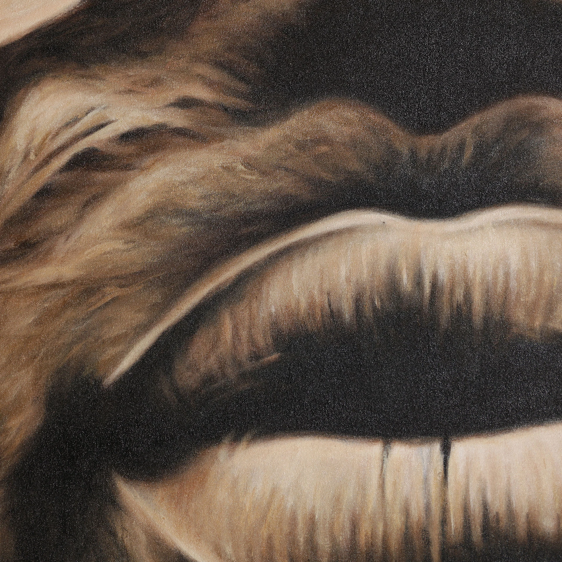 KIROS CANVAS VicalHome 32912 [7]