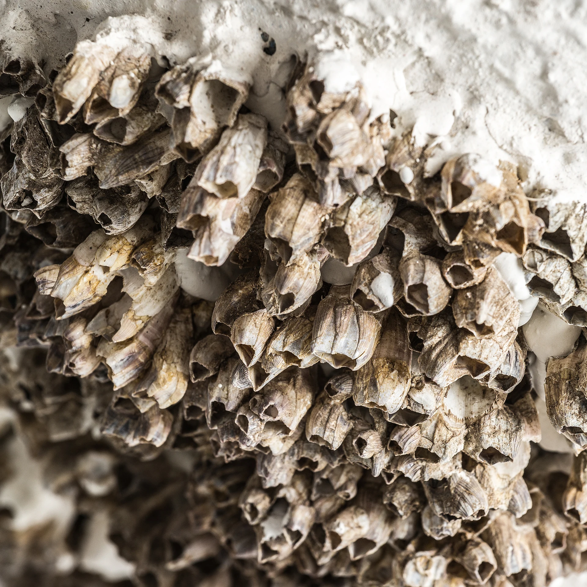 Lampa de masa Thora VicalHome 35486 [7]