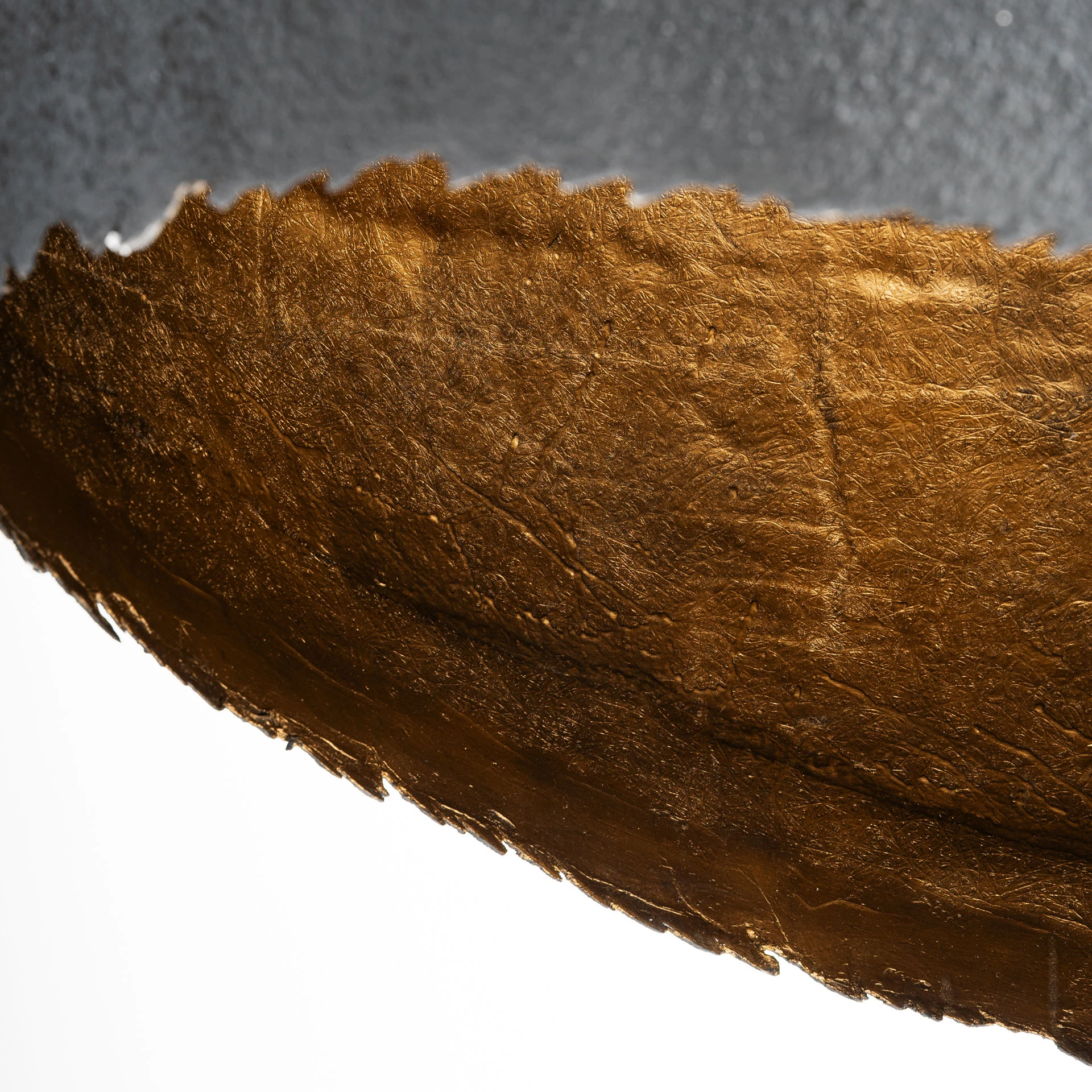 Lampa de tavan Lierop VicalHome 37473 [4]