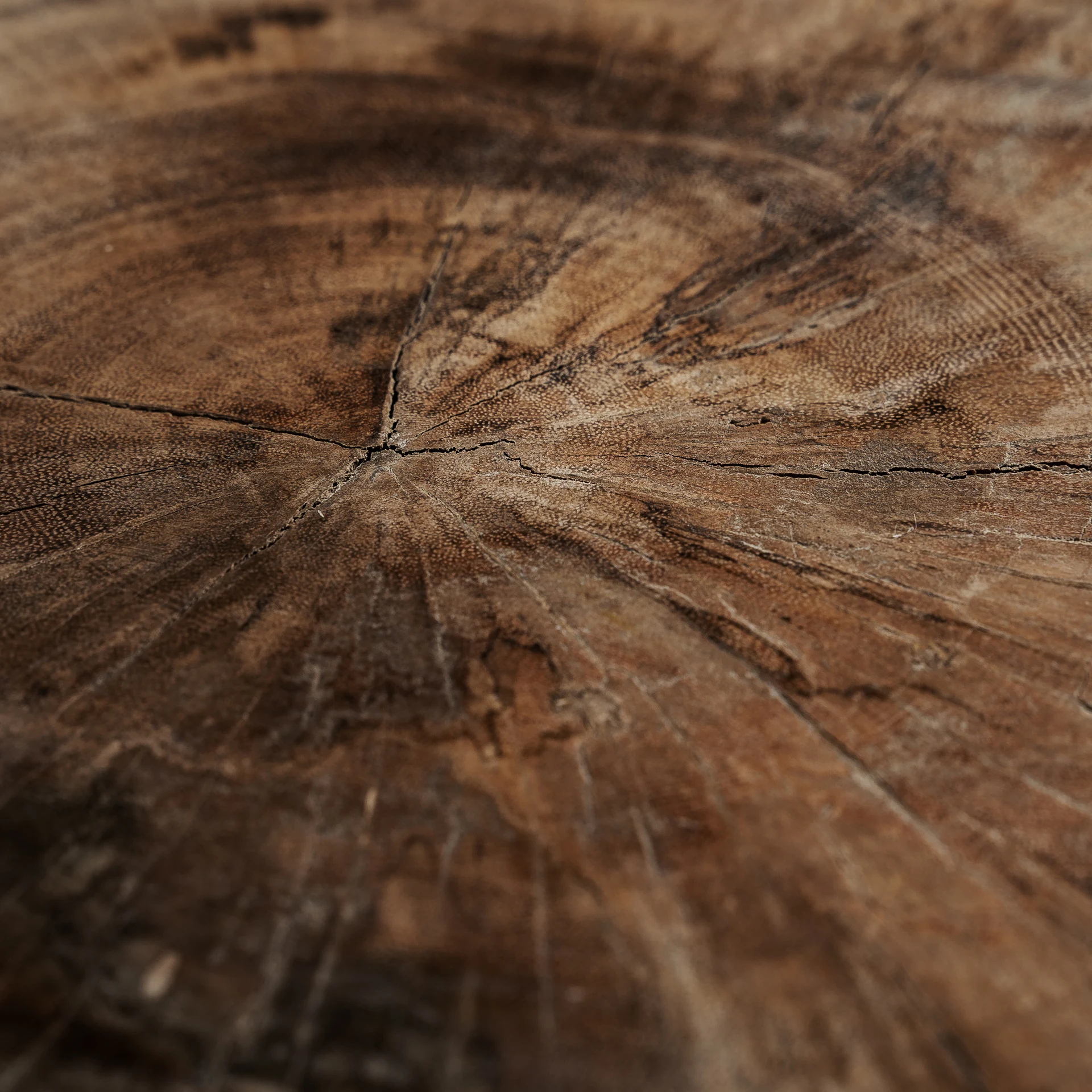 MASA DE CAFEA DOUCEN VicalHome 35370 [16]