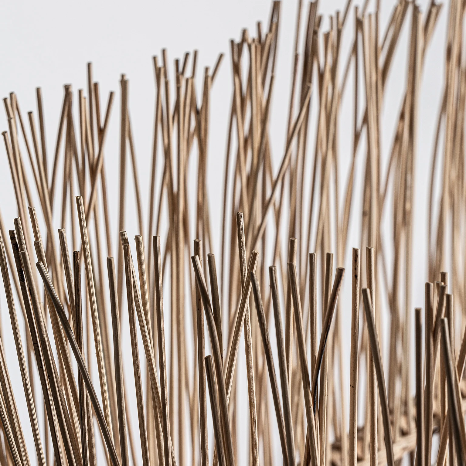 MODUL COLTAR ROCHE VicalHome 30014 [21]