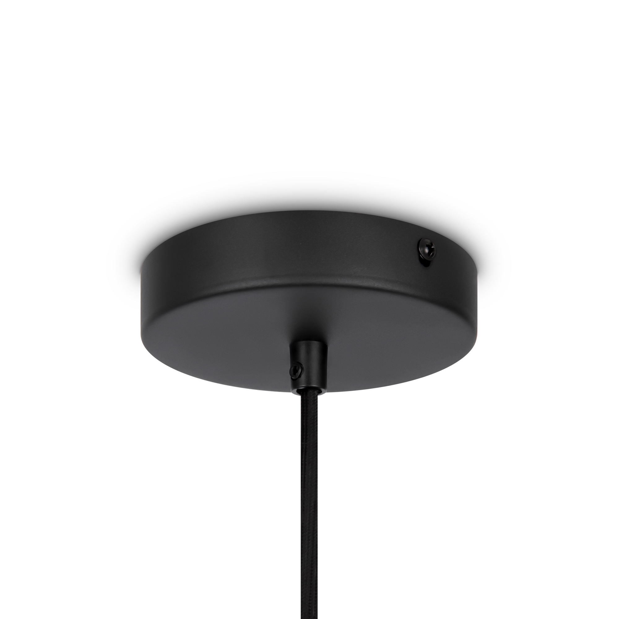 Corp de iluminat suspendat Roots, Metal Negru, 40W, MAYTONI MOD192PL-01W [5]