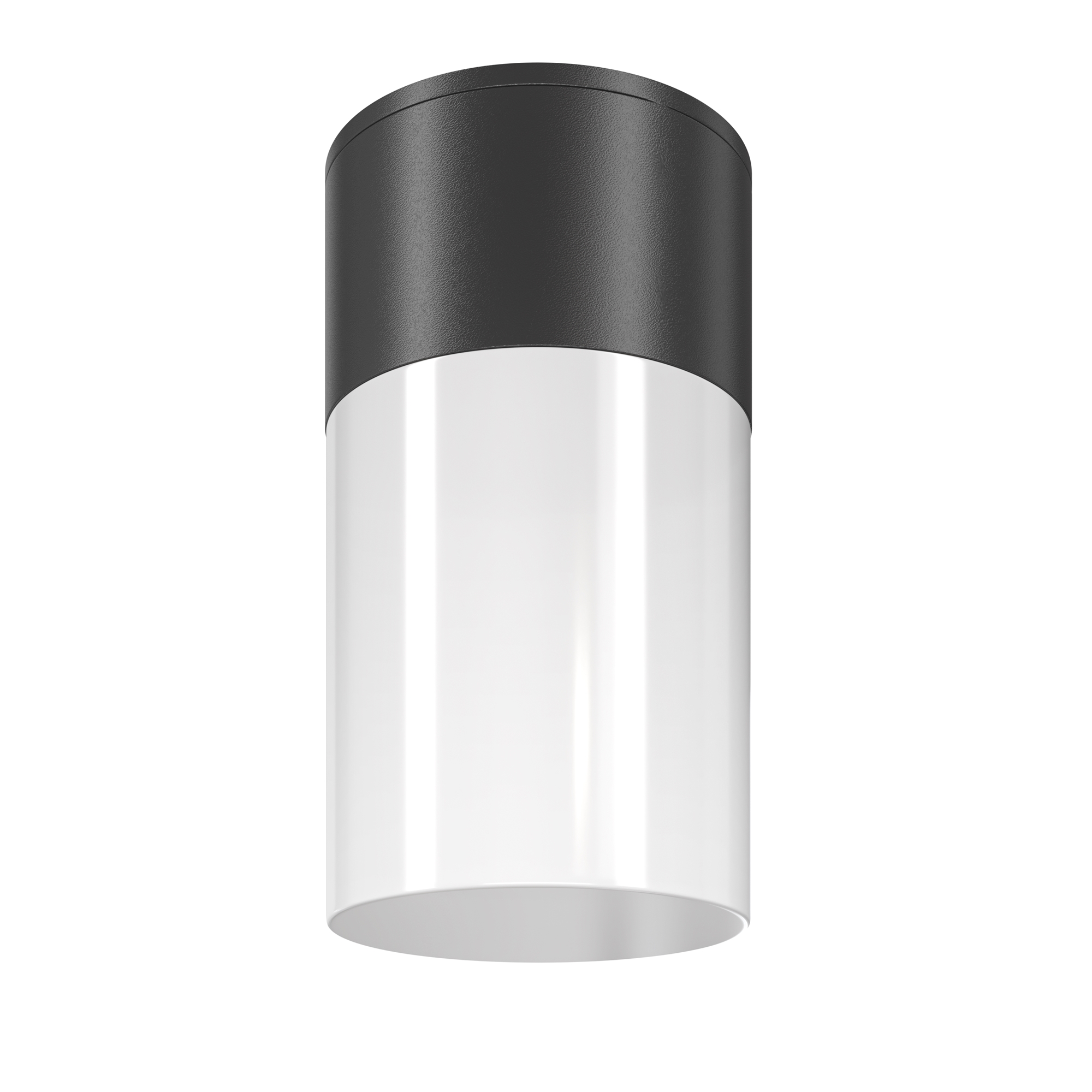 Produse - Plafonieră de exterior Willis, Aluminiu și plastic Negru, 60W, MAYTONI O418CL-01B