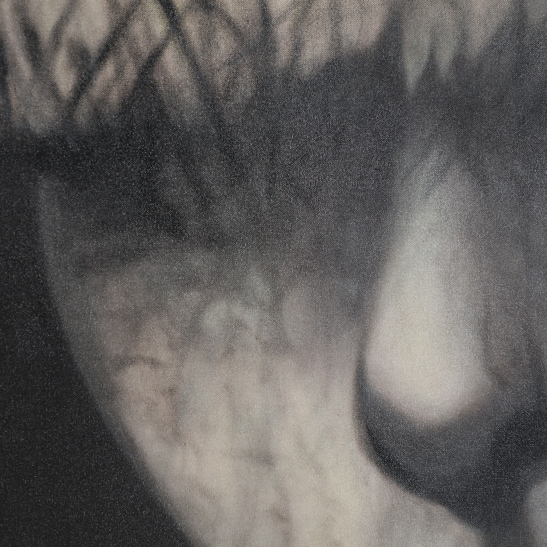 Panza Geos VicalHome 32905 [4]