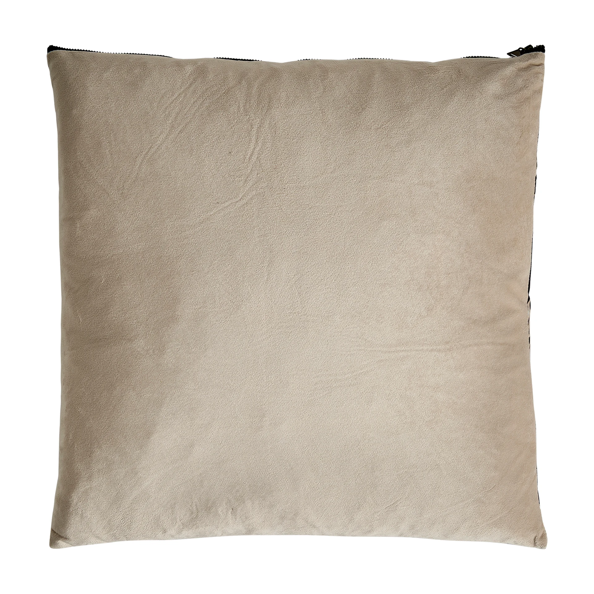 PERNA ACHLYS VicalHome 30214 [4]