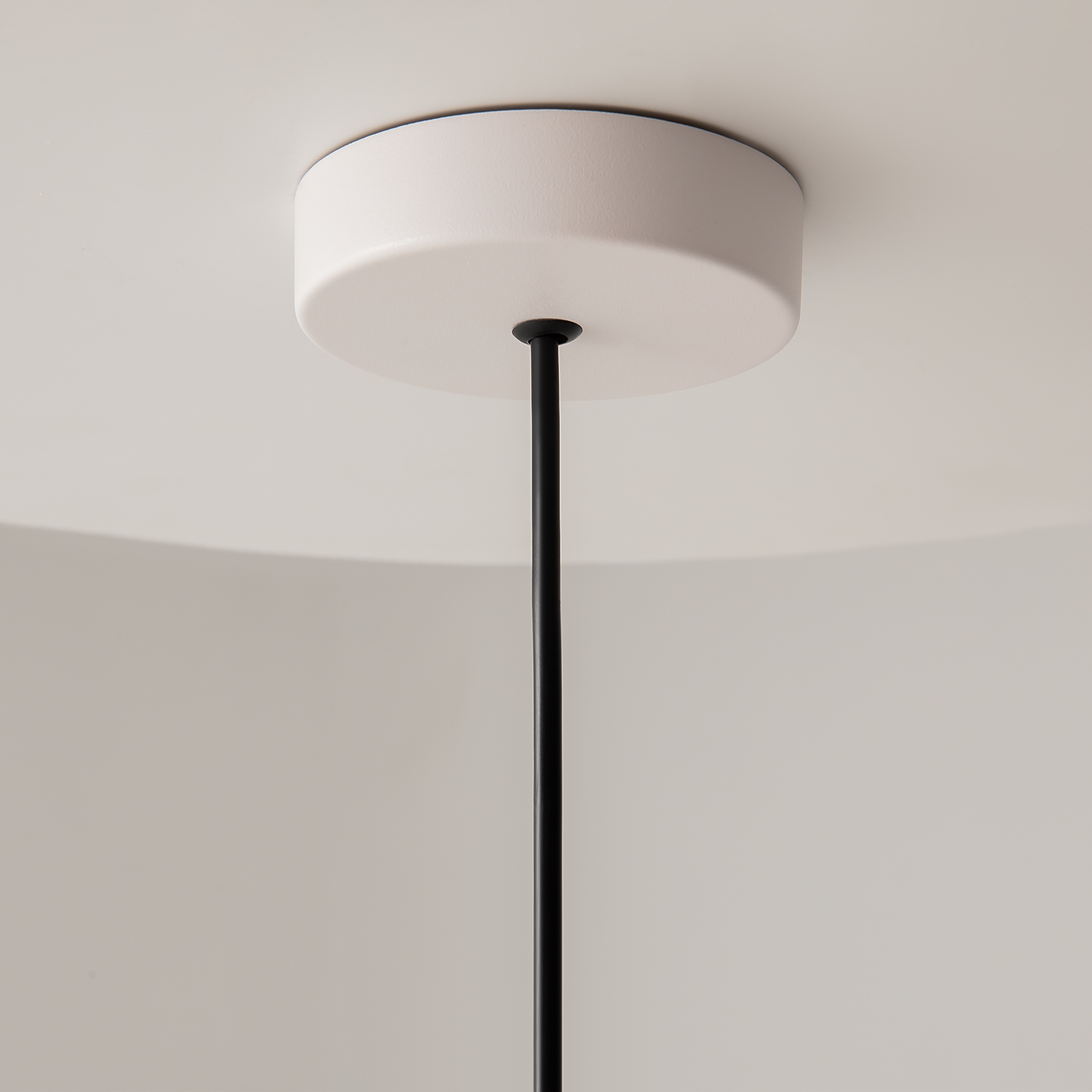 Corp de iluminat suspendat BASIC COLORS, Metal Alb, 40W, MAYTONI MOD167PL-01W [5]