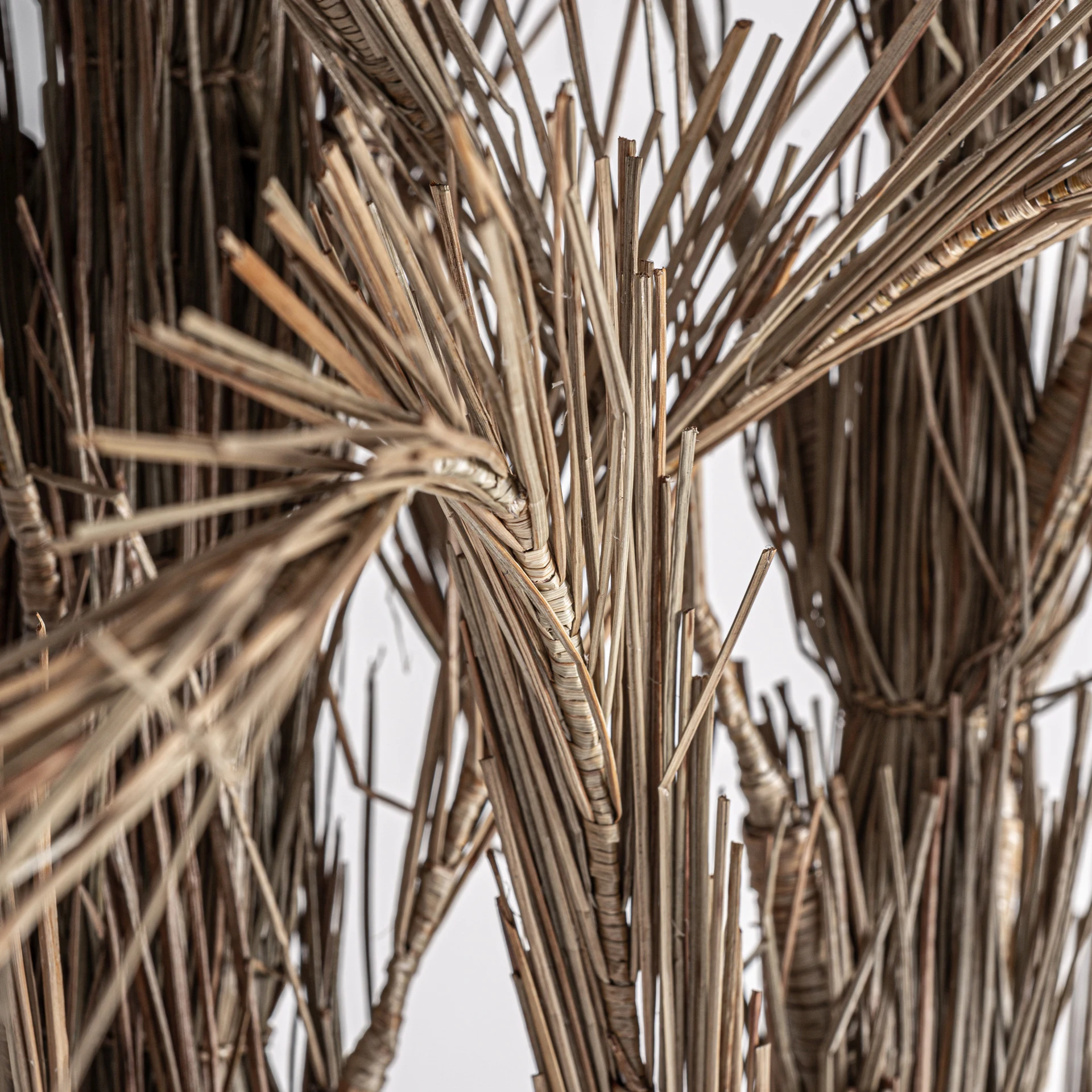 PLANTA ARECA VicalHome 36814 [4]