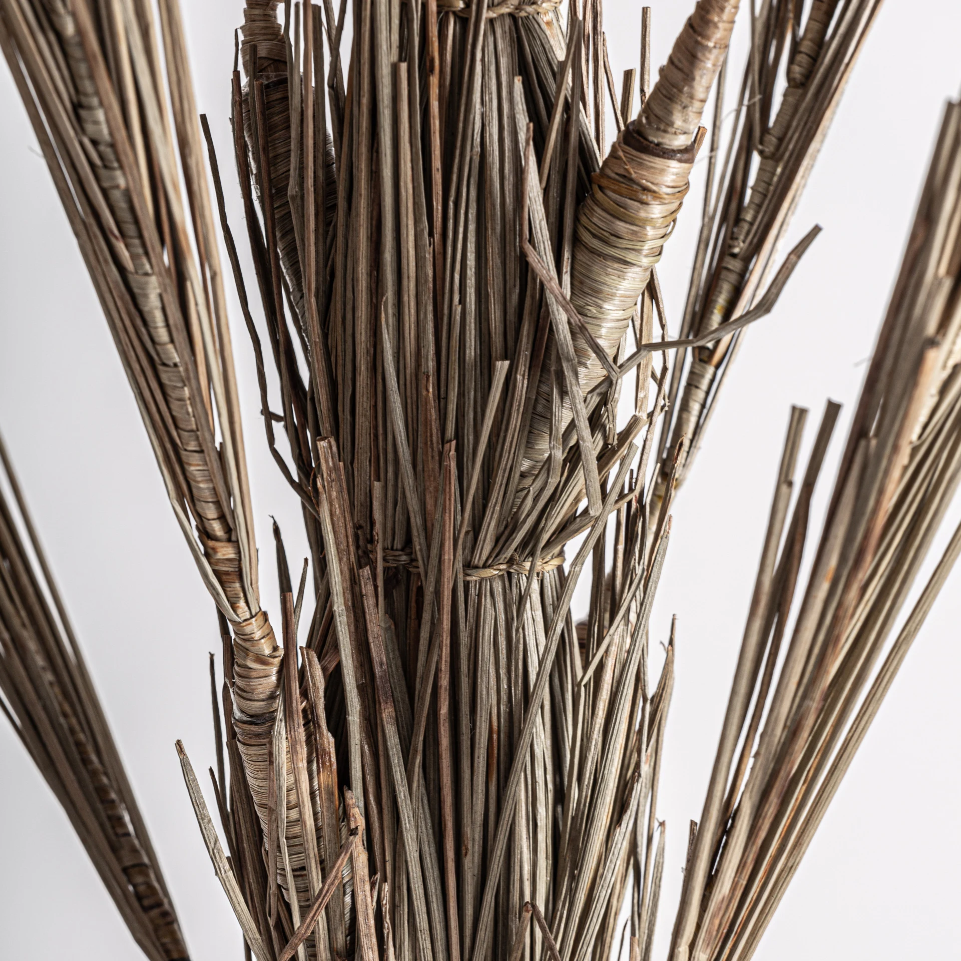 PLANTA ARECA VicalHome 36814 [5]