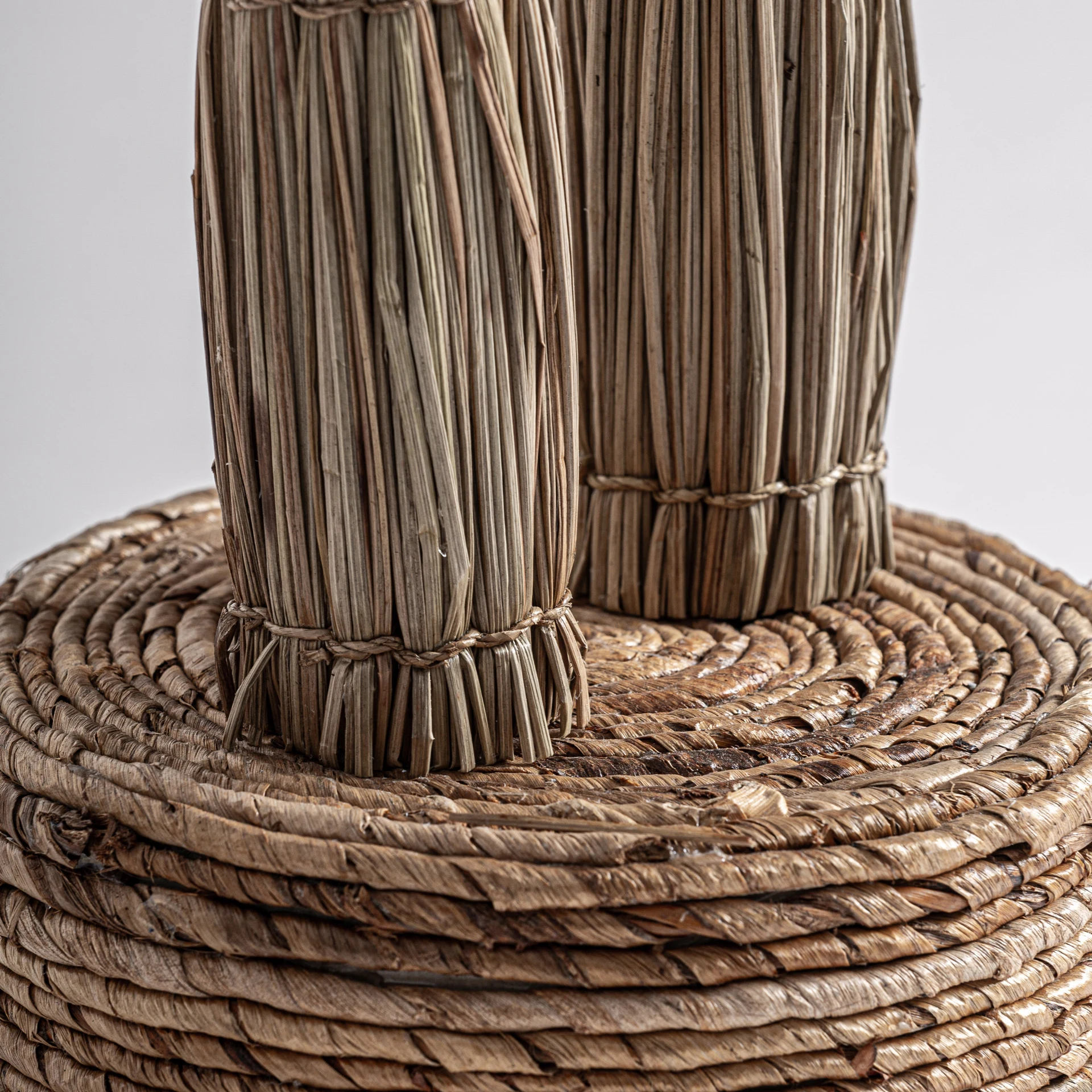 PLANTA ARECA VicalHome 36814 [10]