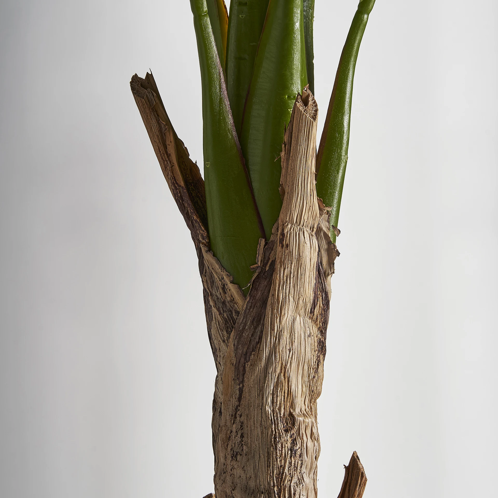 PLANTA BANANERA VicalHome 29115 [6]