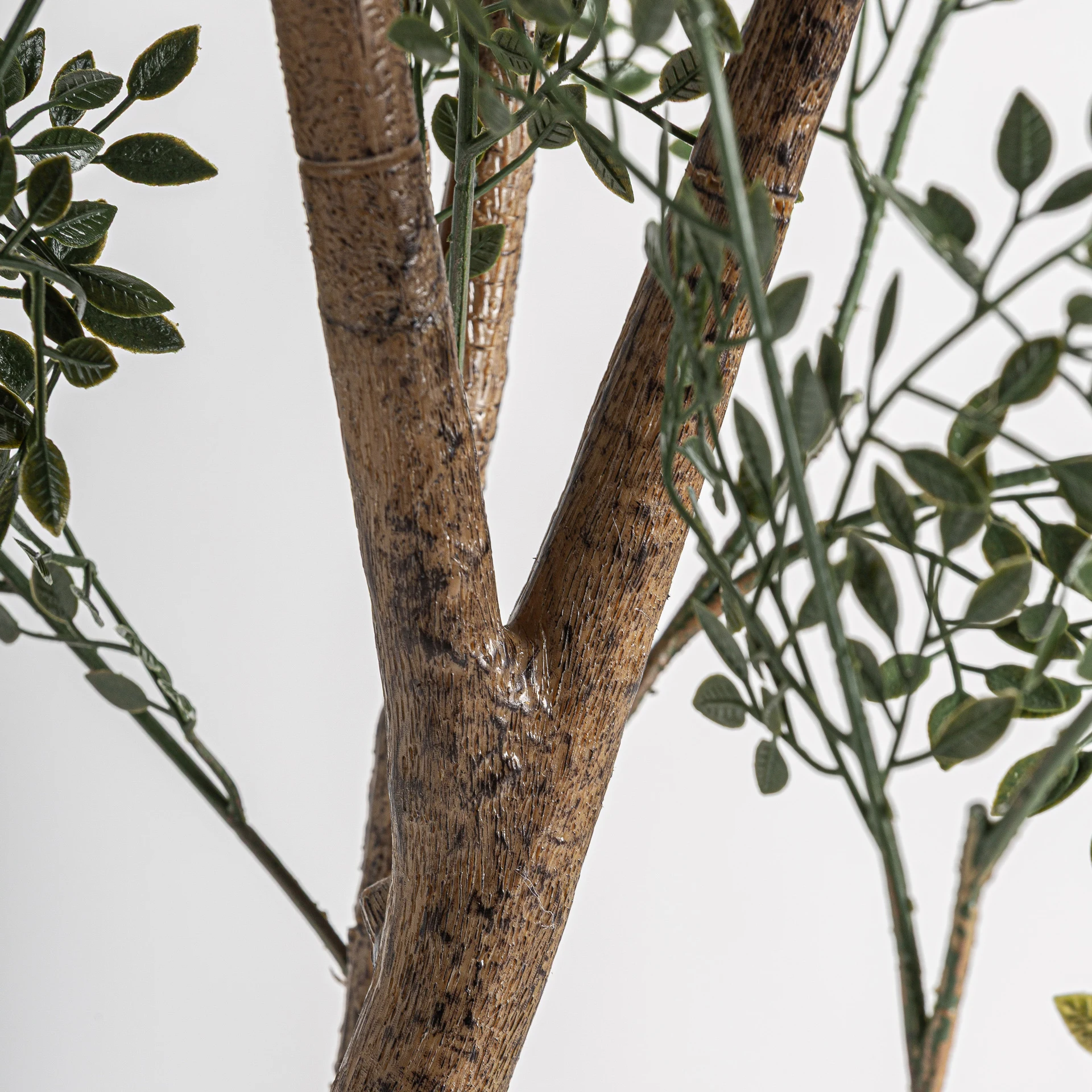 Planta de eucalipt VicalHome 37734 [3]