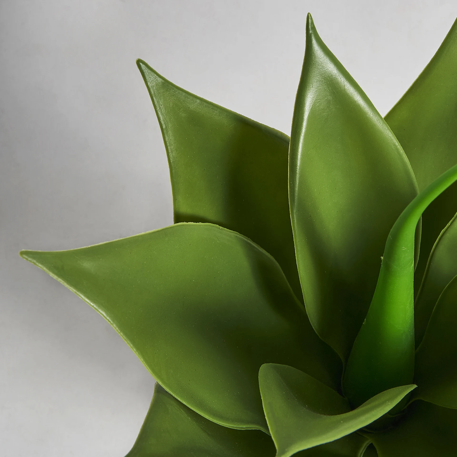 Planta de lotus VicalHome 29111 [11]
