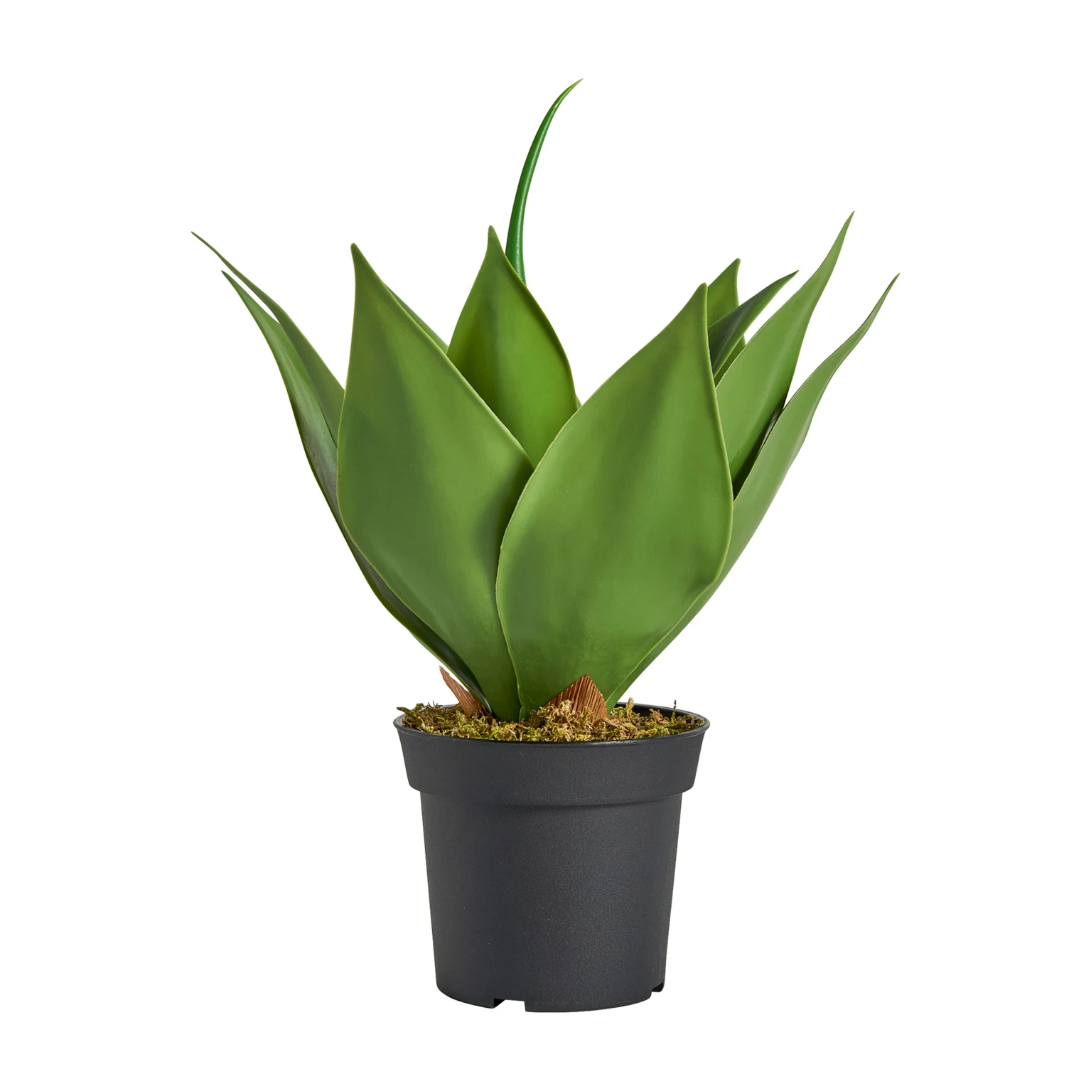 Planta de lotus VicalHome 29111 [3]