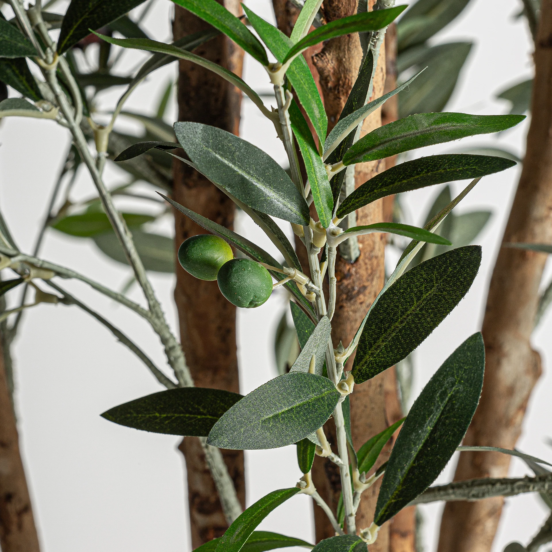 PLANTA DE MASLIN VicalHome 22691 [4]