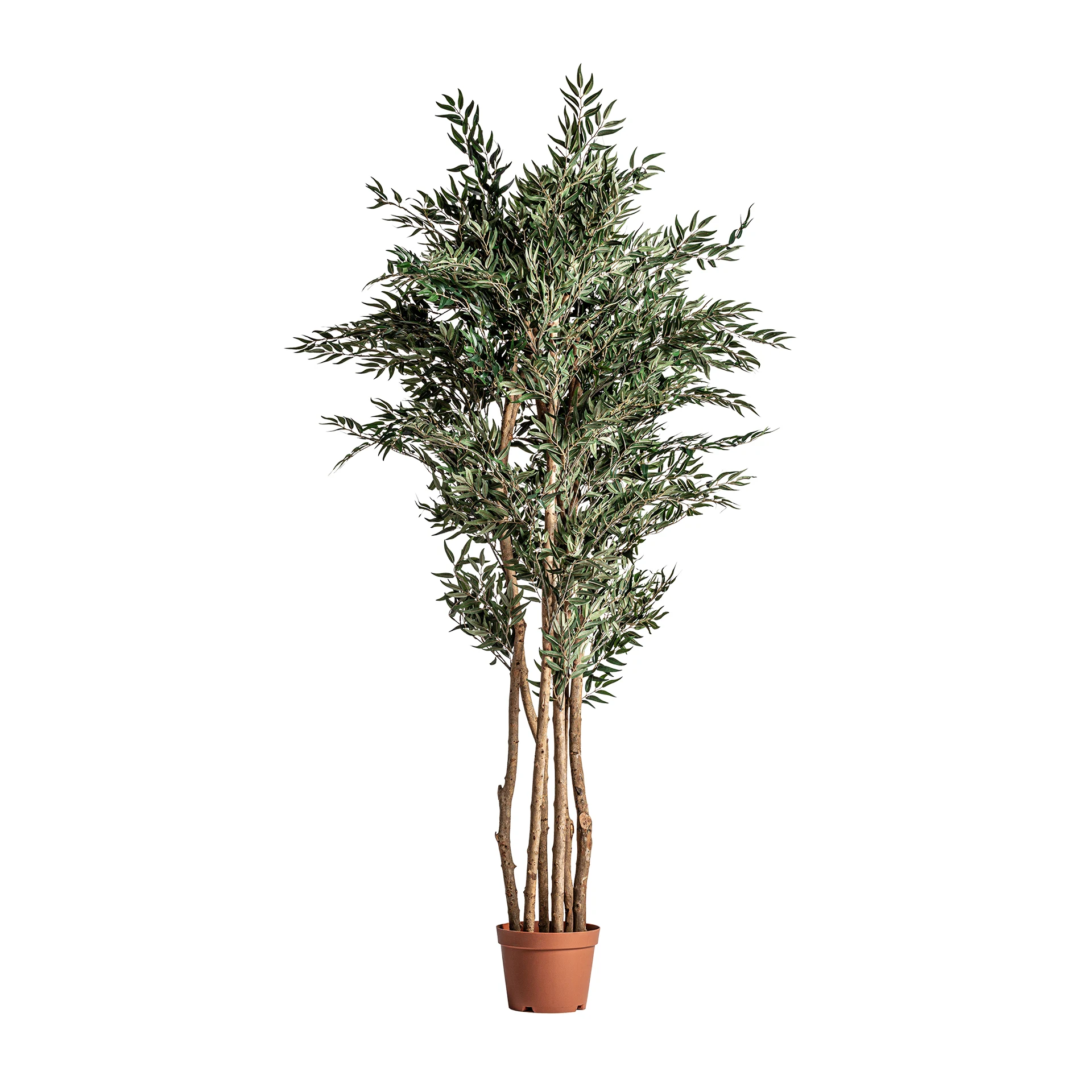 PLANTA DE MASLIN VicalHome 22693 [5]