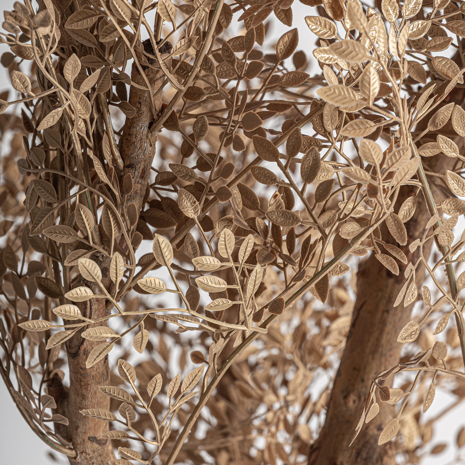 PLANTA DE MASLIN VicalHome 37736 [2]