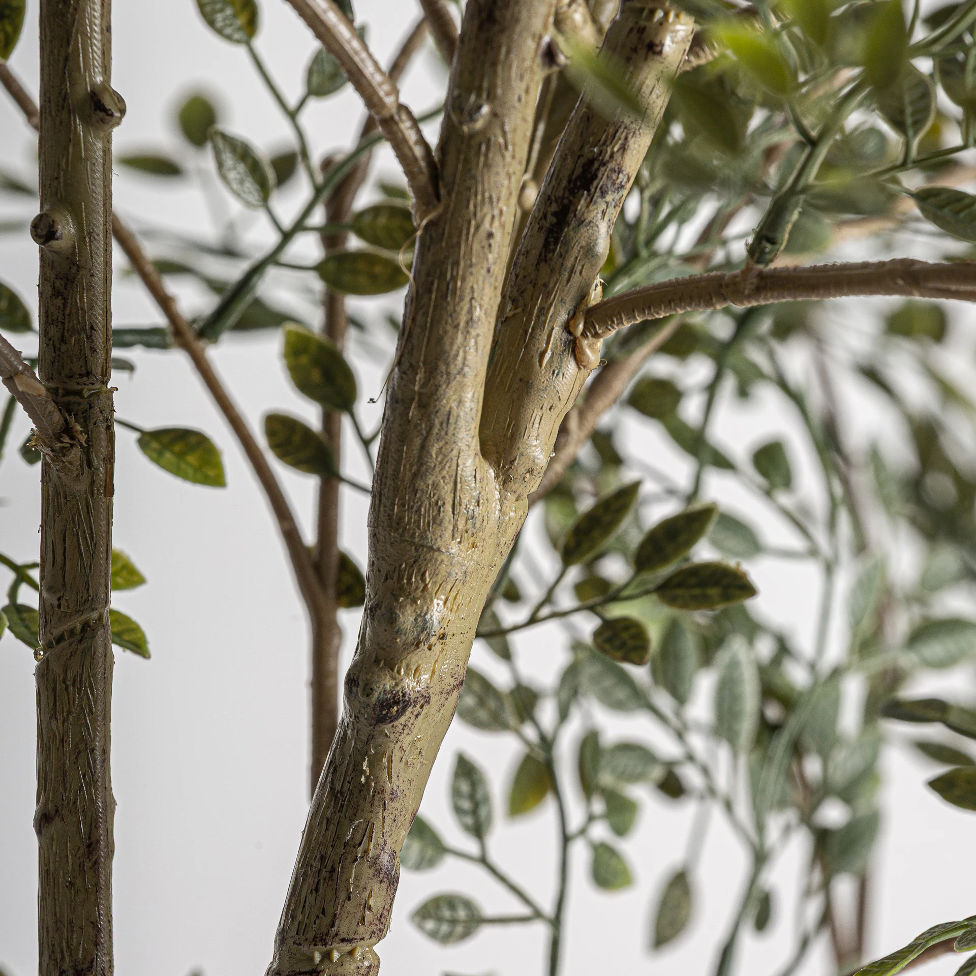 PLANTA DE MASLIN VicalHome 37737 [4]