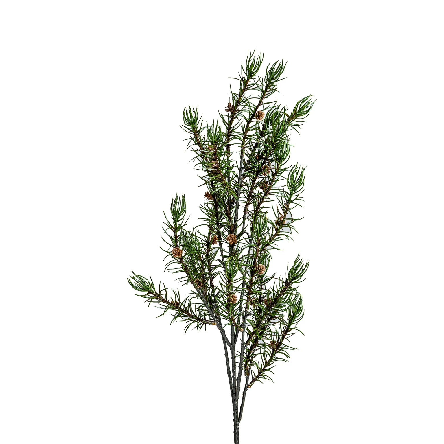 PLANTA DE ROZMARIN VicalHome 26341 [1]