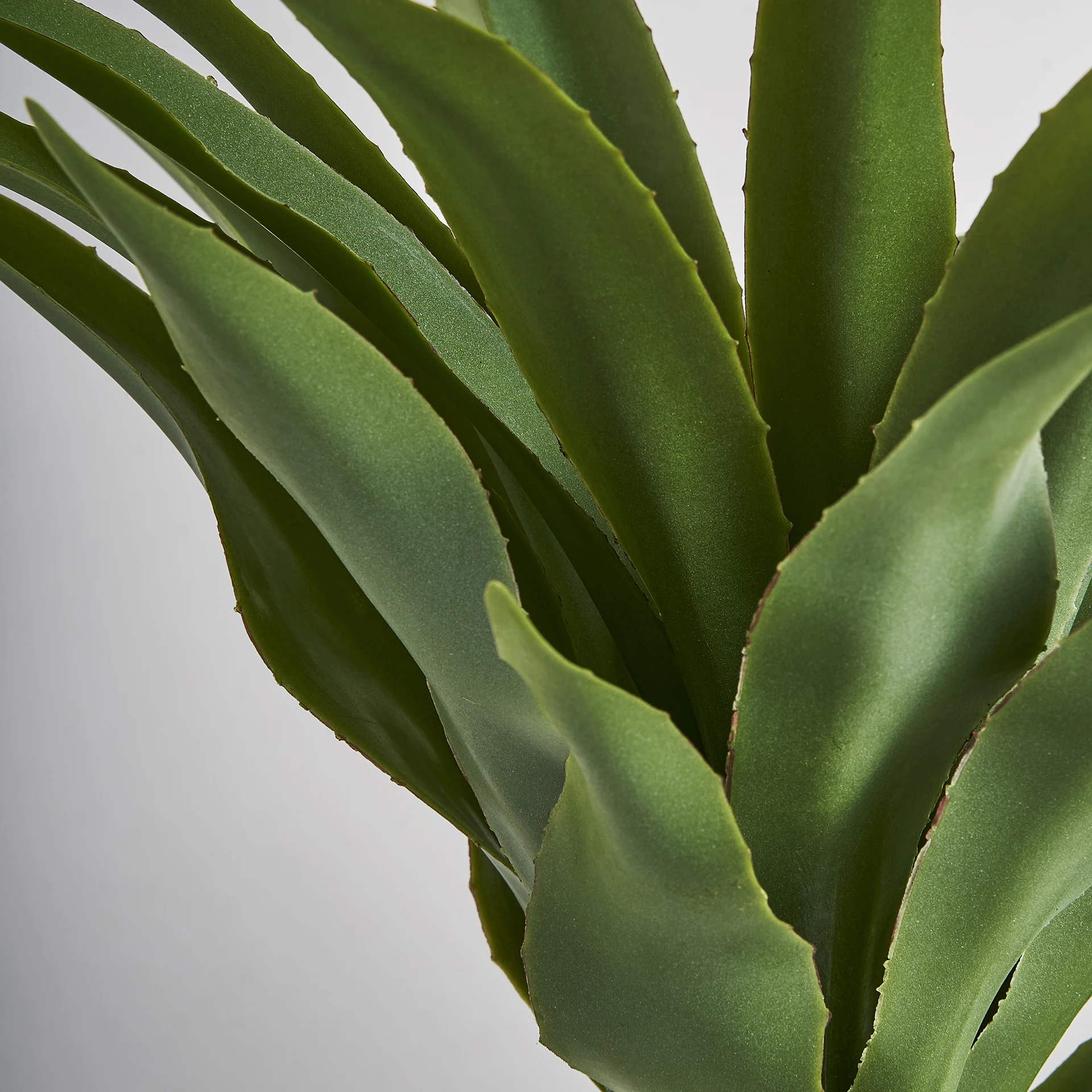 PLANTA DE YUCCA VicalHome 29112 [9]