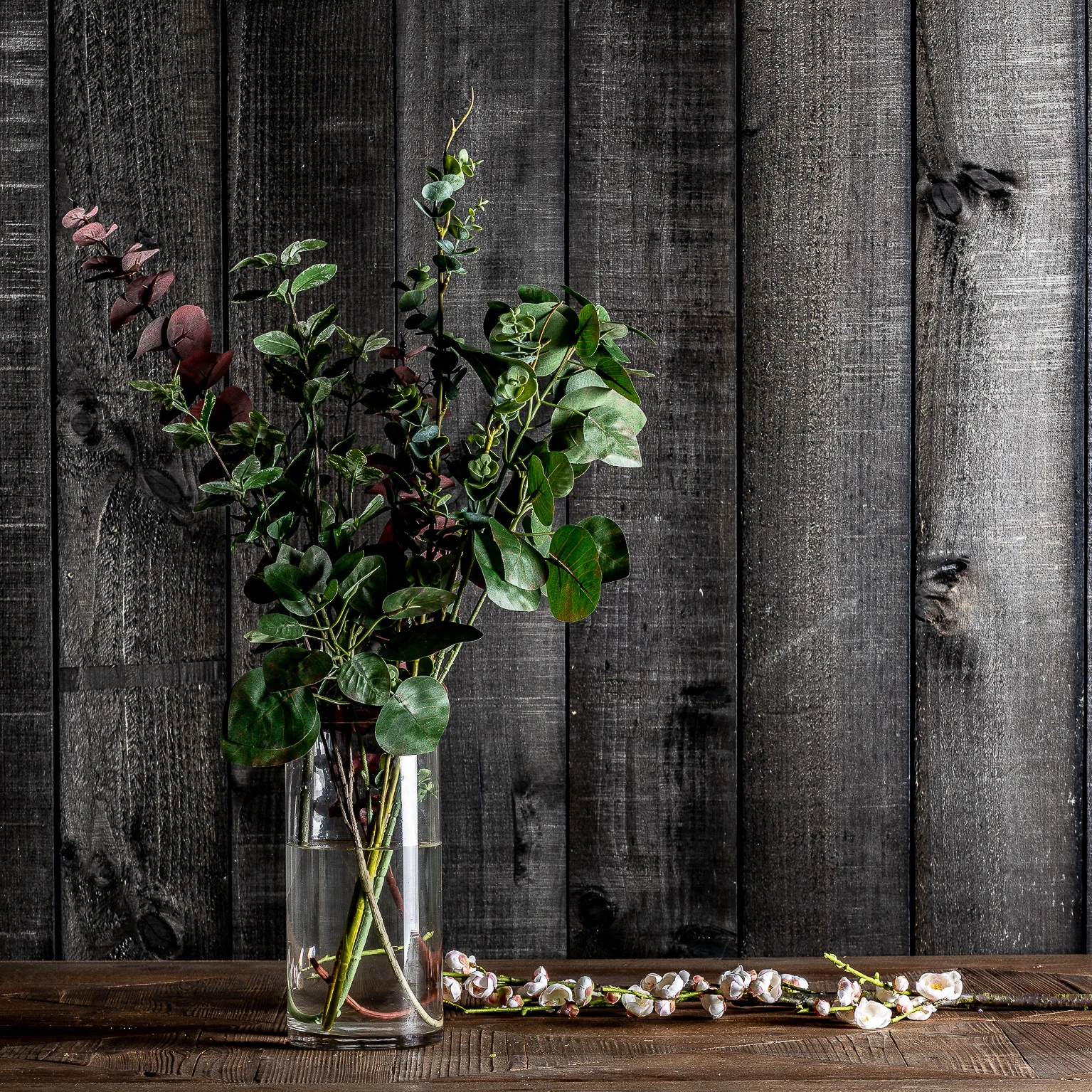Planta ficus VicalHome 26342 [9]