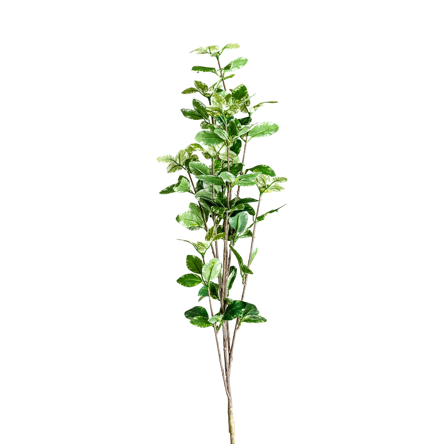 Planta ficus VicalHome 26342 [13]