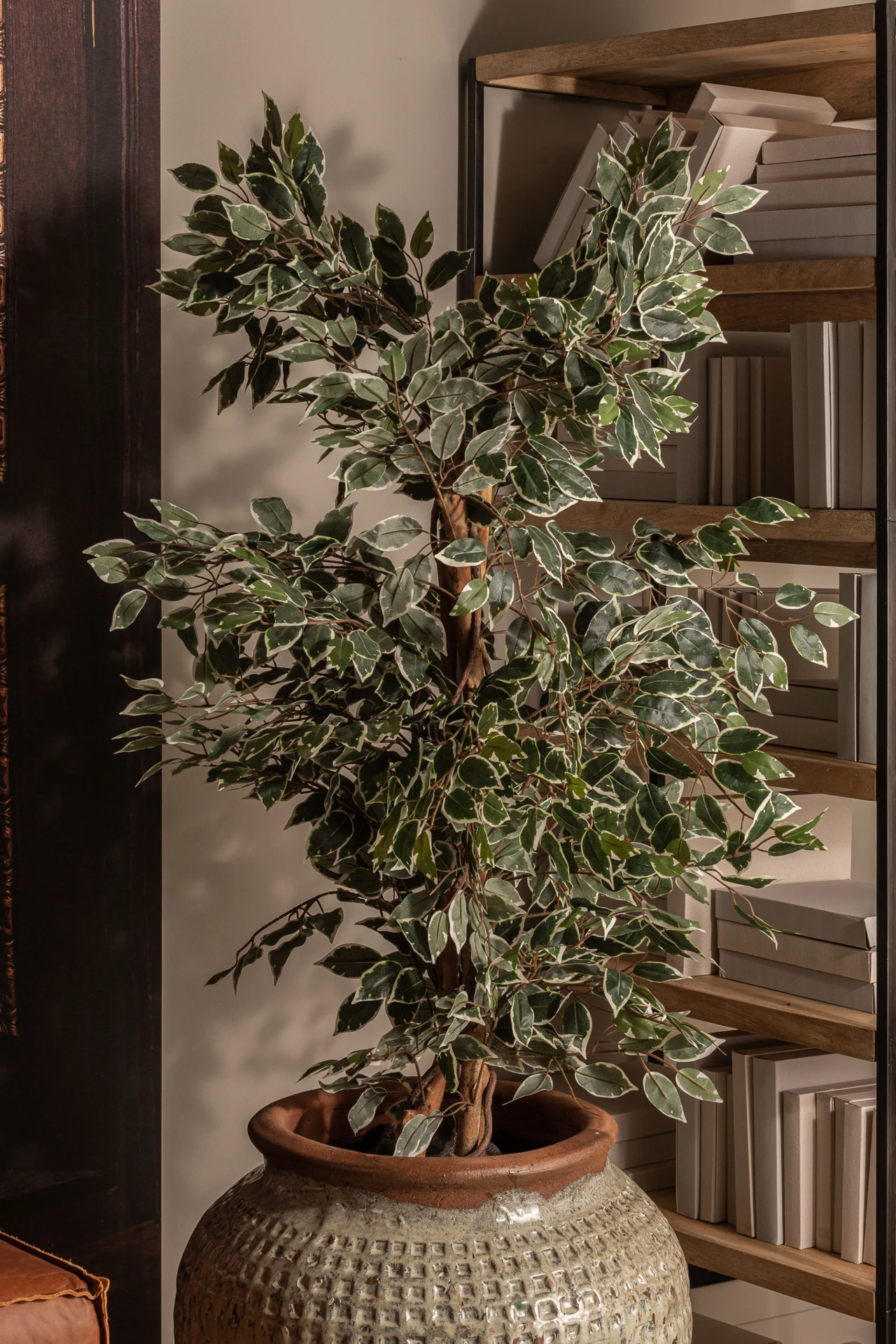 Planta ficus VicalHome 29109 [24]