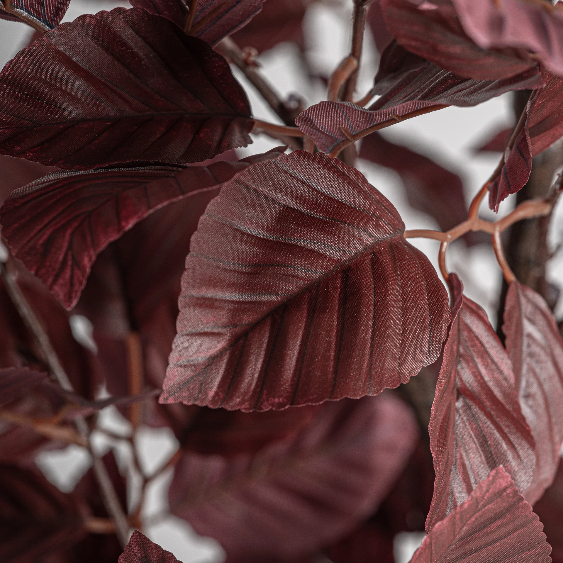 PLANTA HAYA VicalHome 37738 [2]