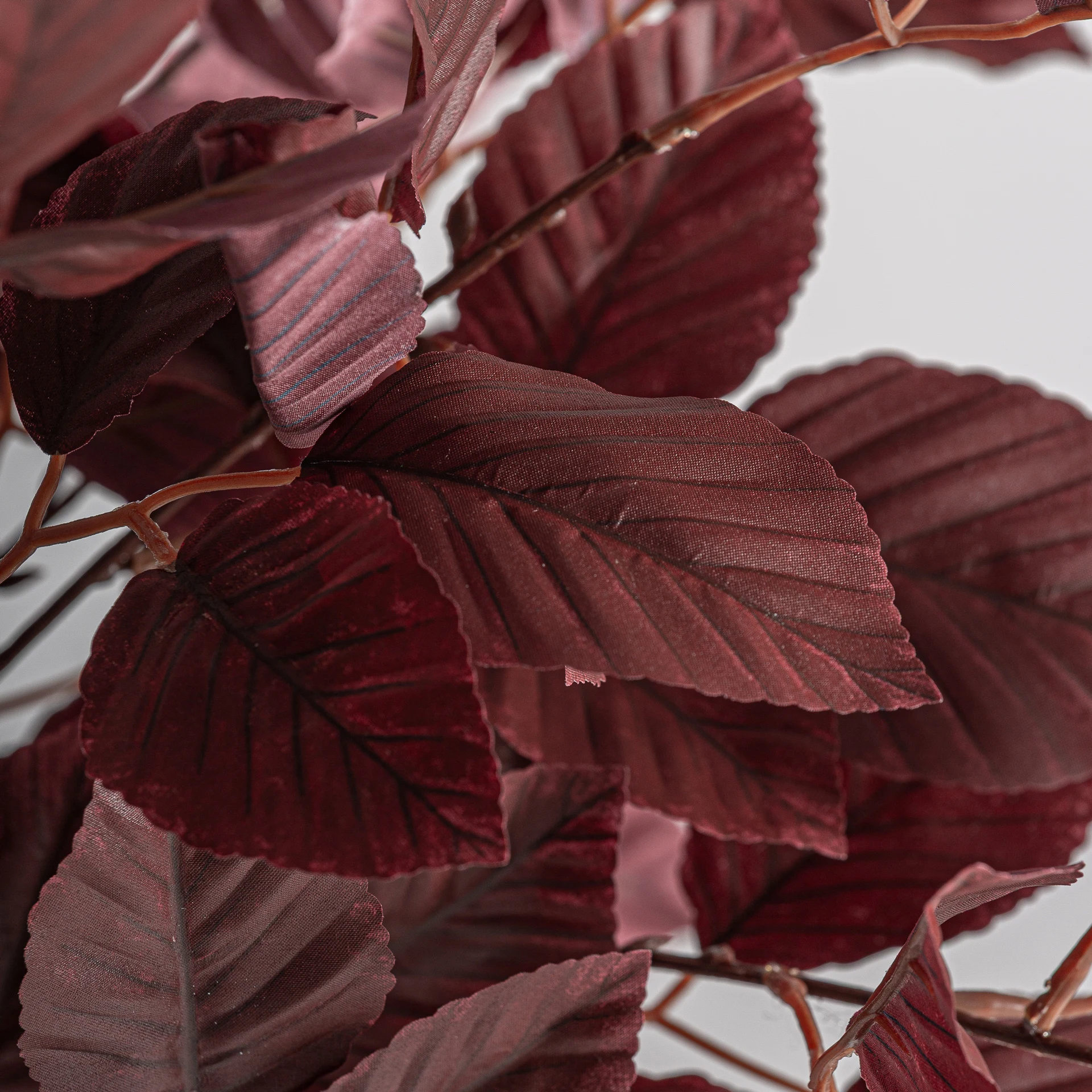 PLANTA HAYA VicalHome 37738 [3]