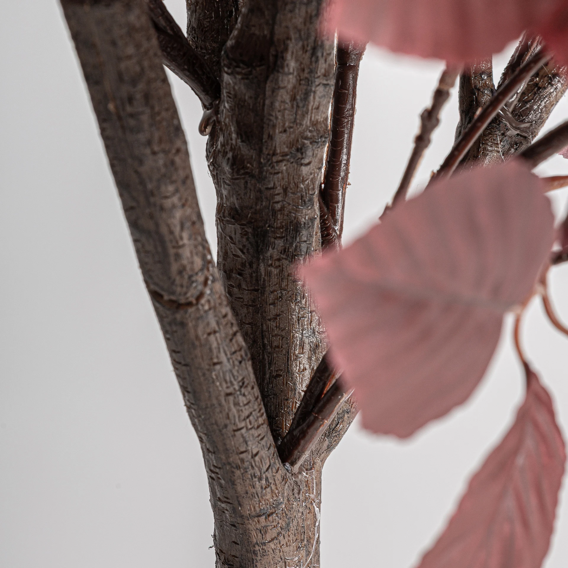 PLANTA HAYA VicalHome 37738 [4]