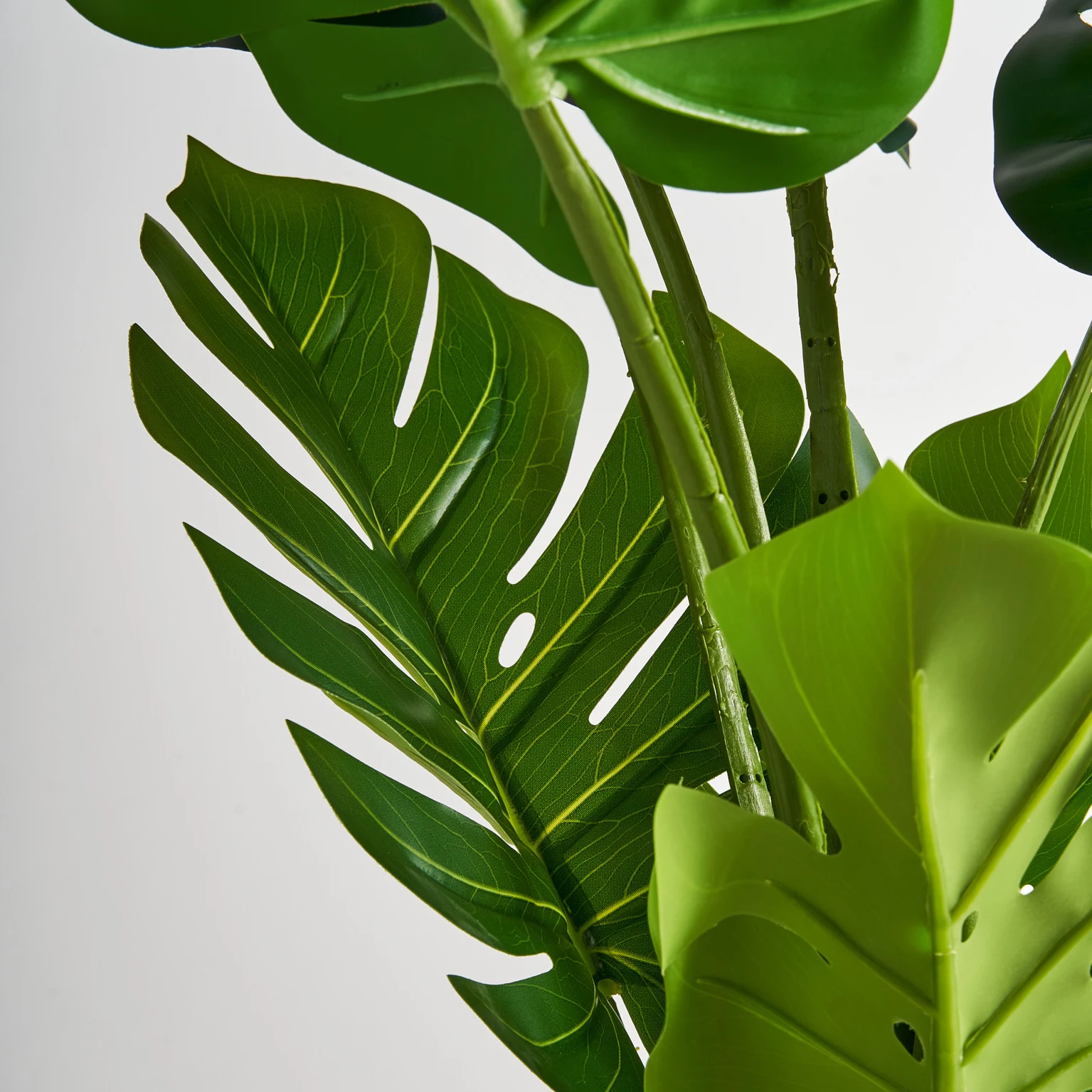 PLANTA MONSTERA VicalHome 29113 [8]