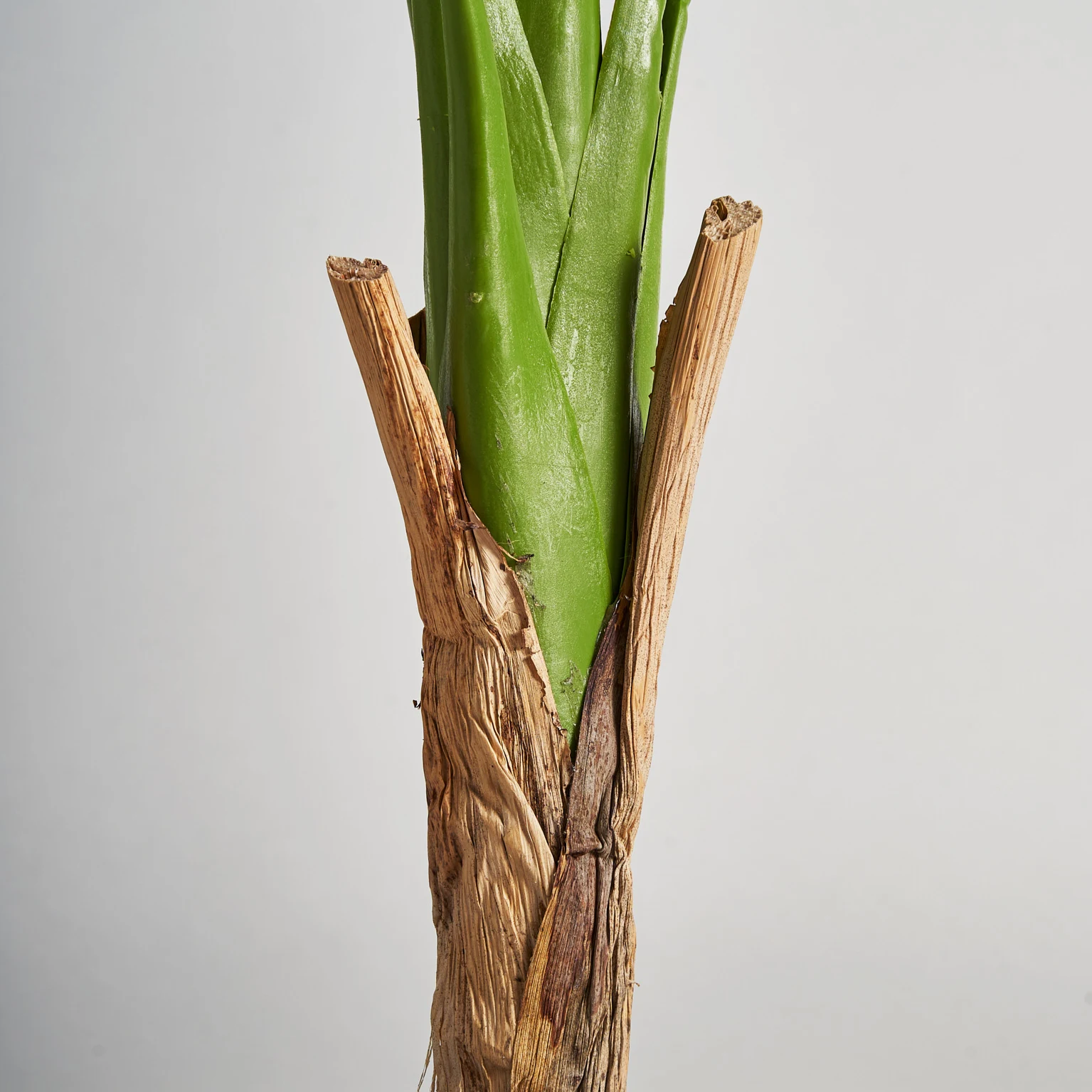 PLANTA MONSTERA VicalHome 29113 [7]