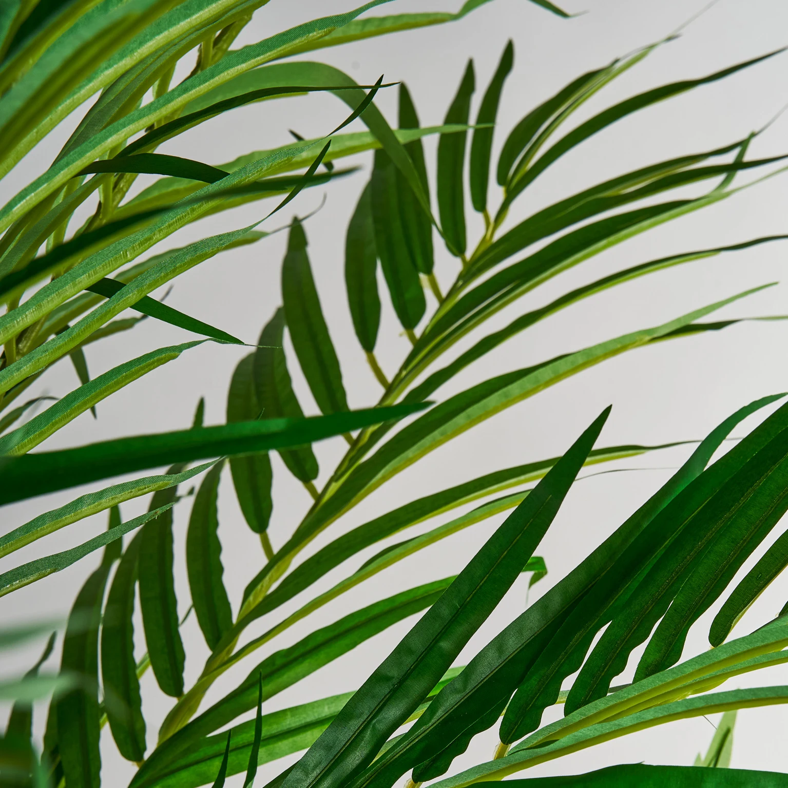 PLANTA PALMIER VicalHome 27318 [9]