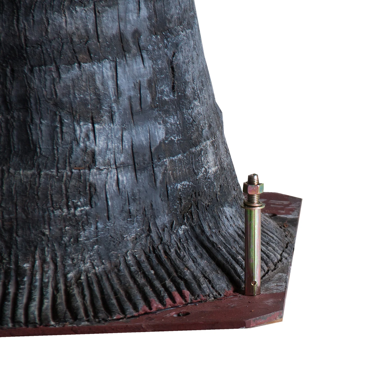 PLANTA PALMIER VicalHome 27416 [7]