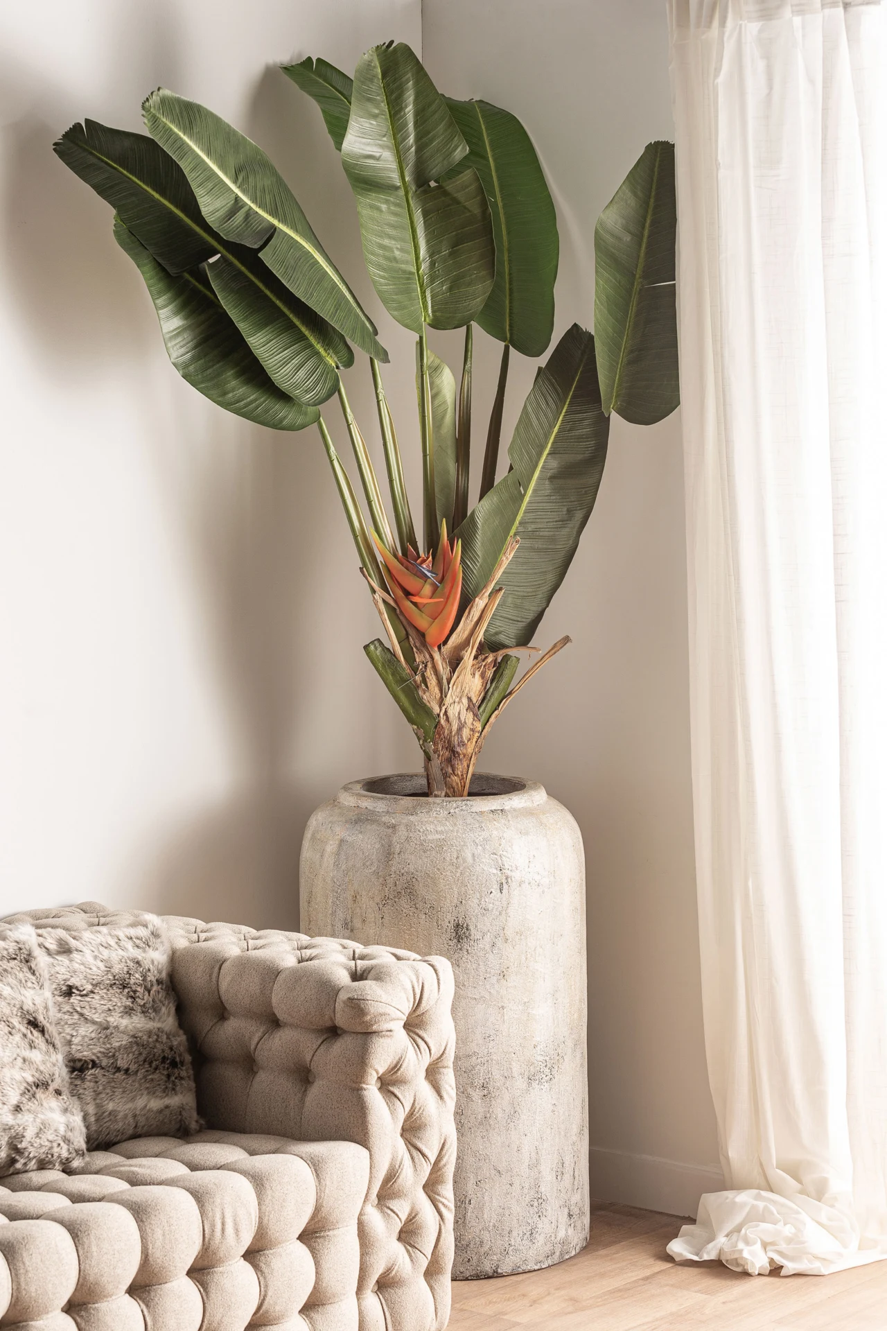 PLANTA PARADIS VicalHome 27322 [22]