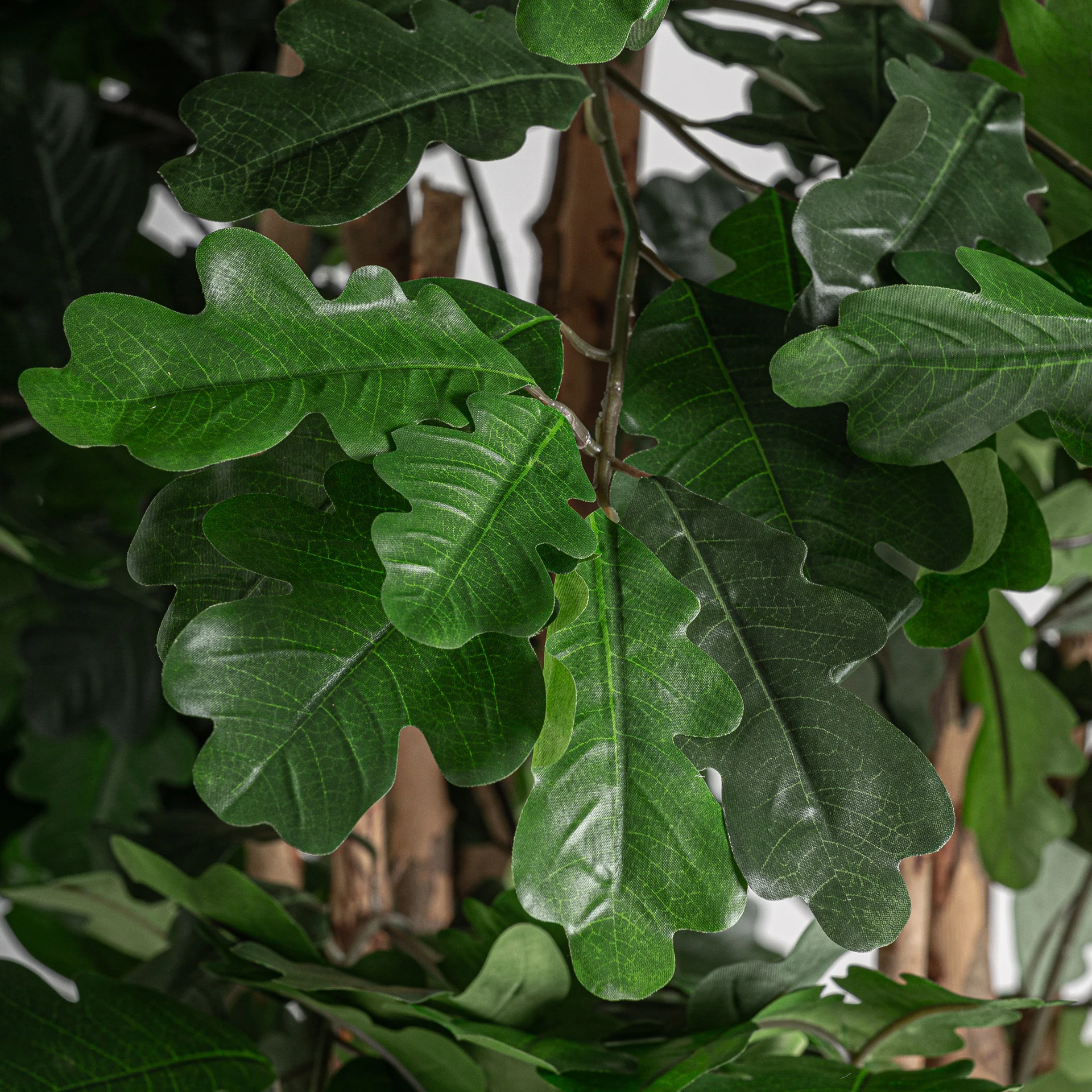 Planta Roble VicalHome 37735 [2]