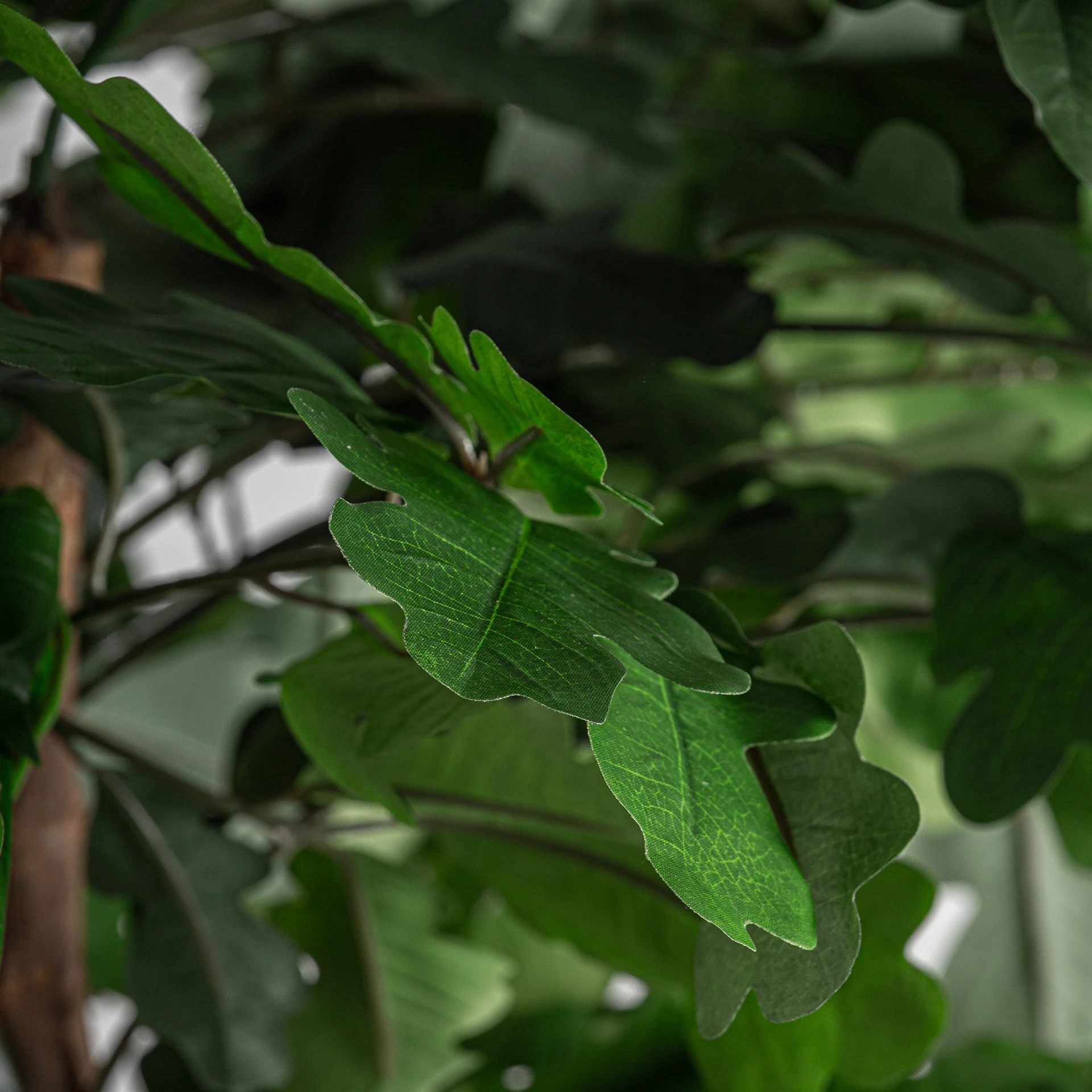 Planta Roble VicalHome 37735 [3]